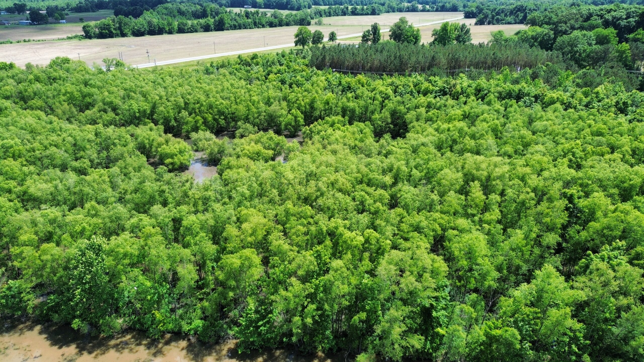 17 ACRES, WOODED, BUILDING SITE, CRP, HUNTING