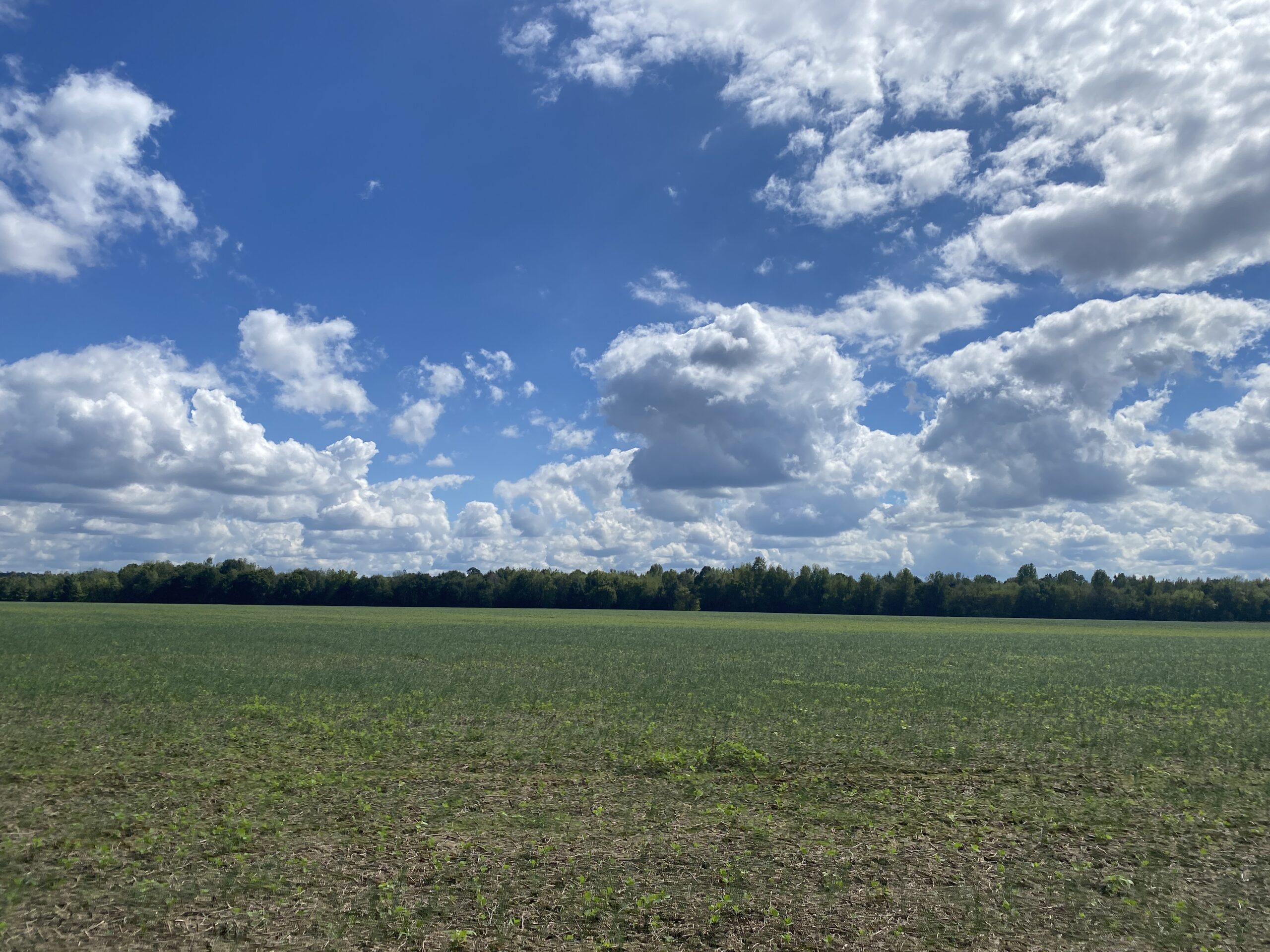 UNRESTRICTED LAND THAT HAS GREAT HUNTING THAT HAS BEEN USED AS FARM LAND