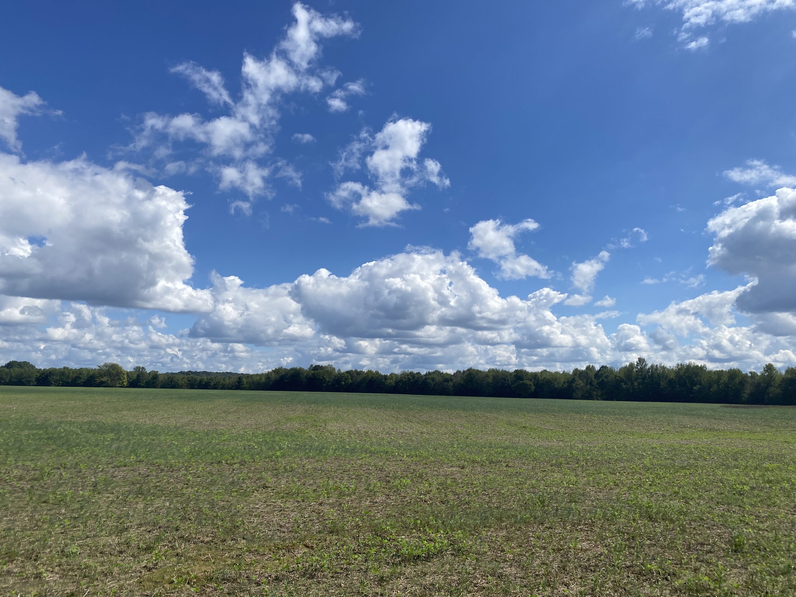 UNRESTRICTED LAND THAT HAS GREAT HUNTING THAT HAS BEEN USED AS FARM LAND