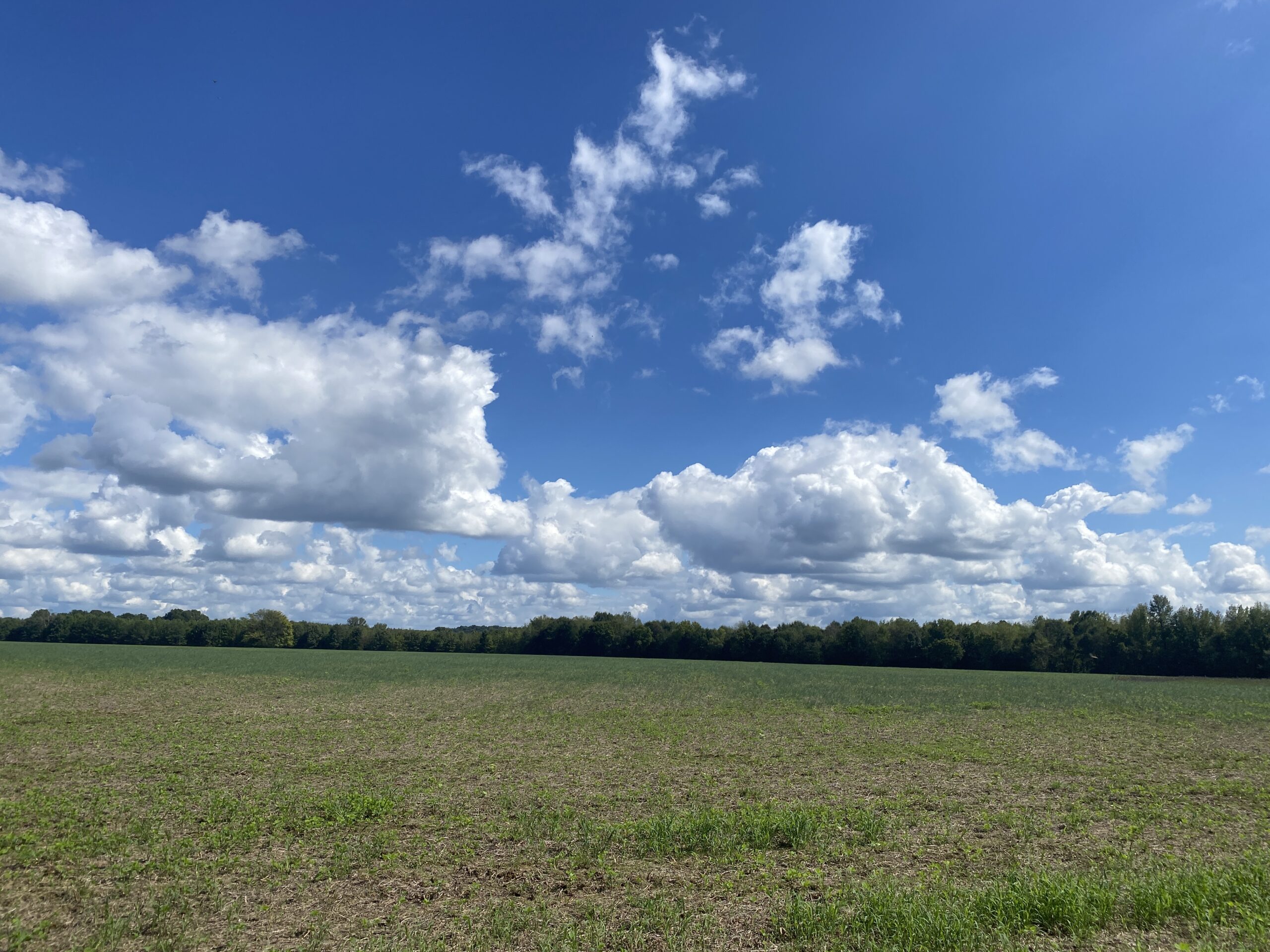 UNRESTRICTED LAND THAT HAS GREAT HUNTING THAT HAS BEEN USED AS FARM LAND