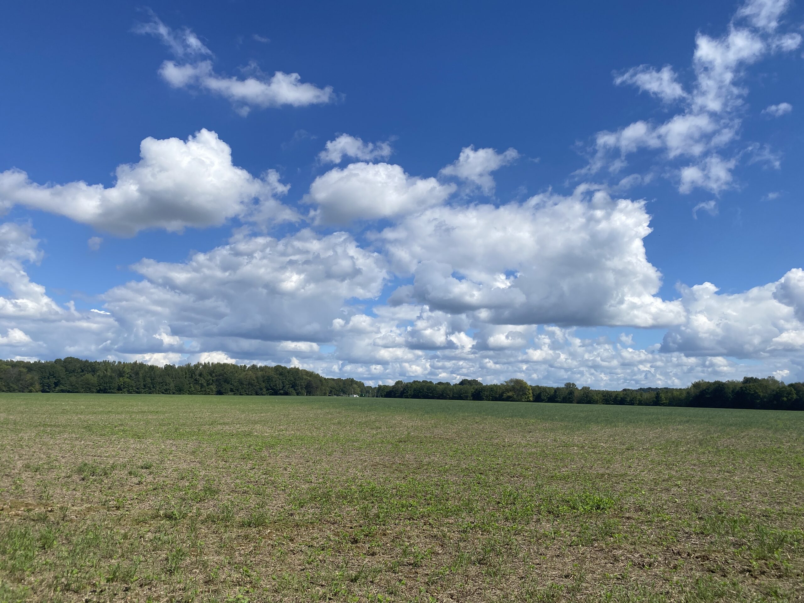 UNRESTRICTED LAND THAT HAS GREAT HUNTING THAT HAS BEEN USED AS FARM LAND