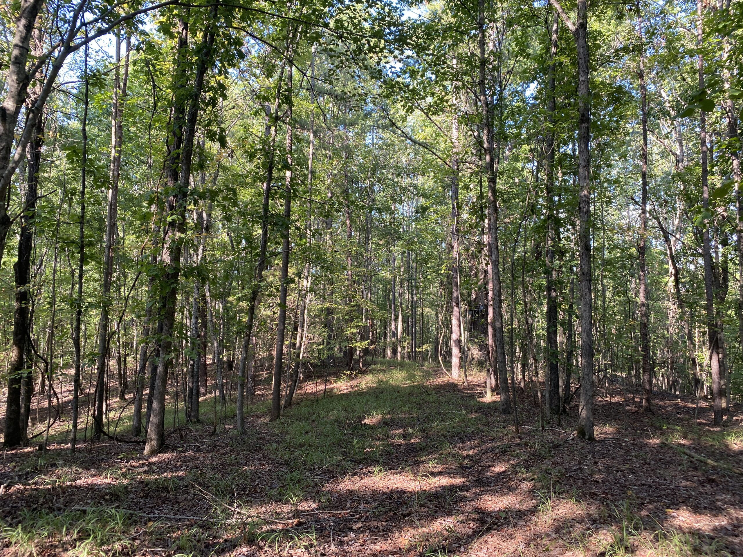 HUNTING CAMP FOR SALE IN TN. CABIN & STORAGE, 58 ACRES+/-