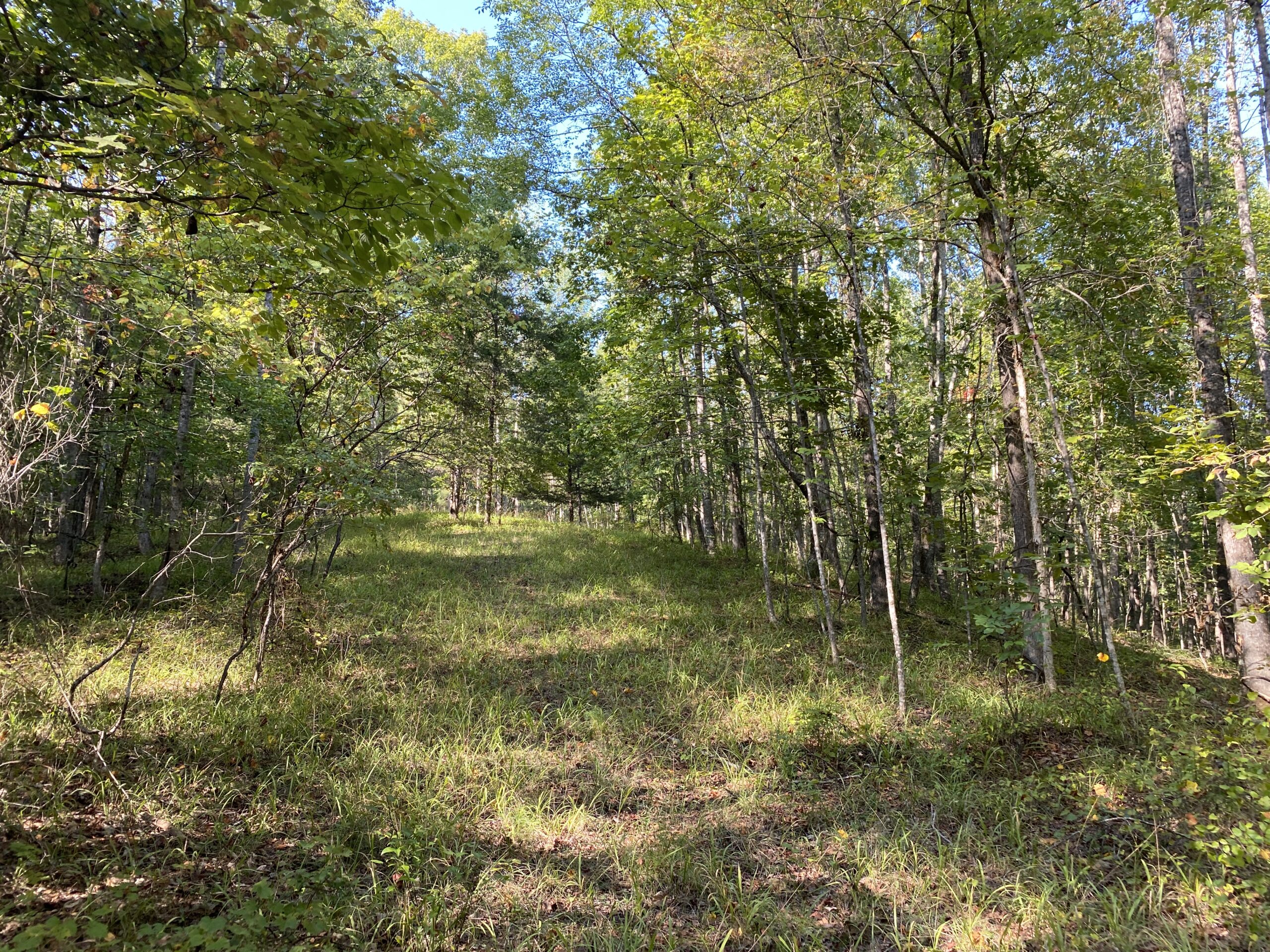 HUNTING CAMP FOR SALE IN TN. CABIN & STORAGE, 58 ACRES+/-
