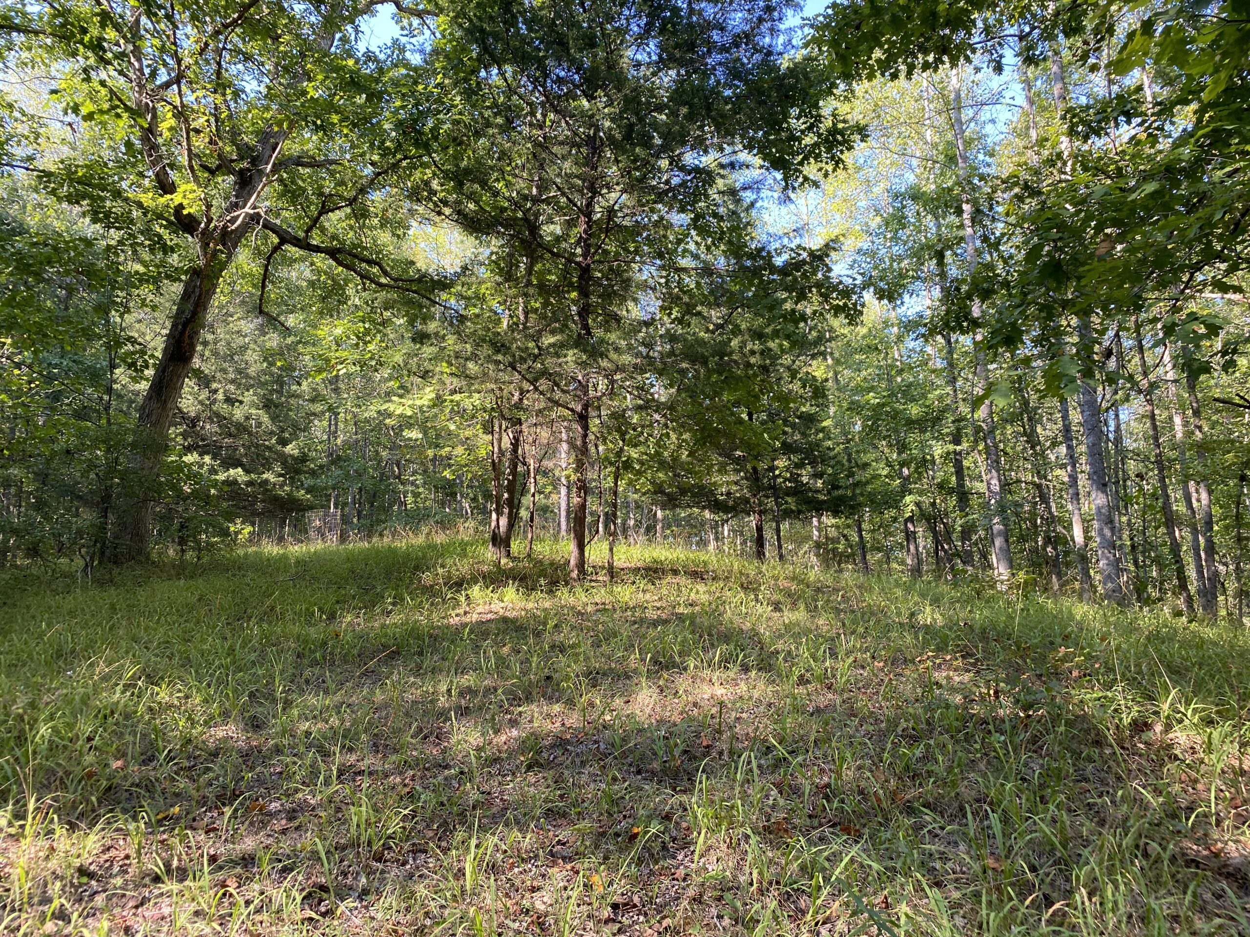 HUNTING CAMP FOR SALE IN TN. CABIN & STORAGE, 58 ACRES+/-