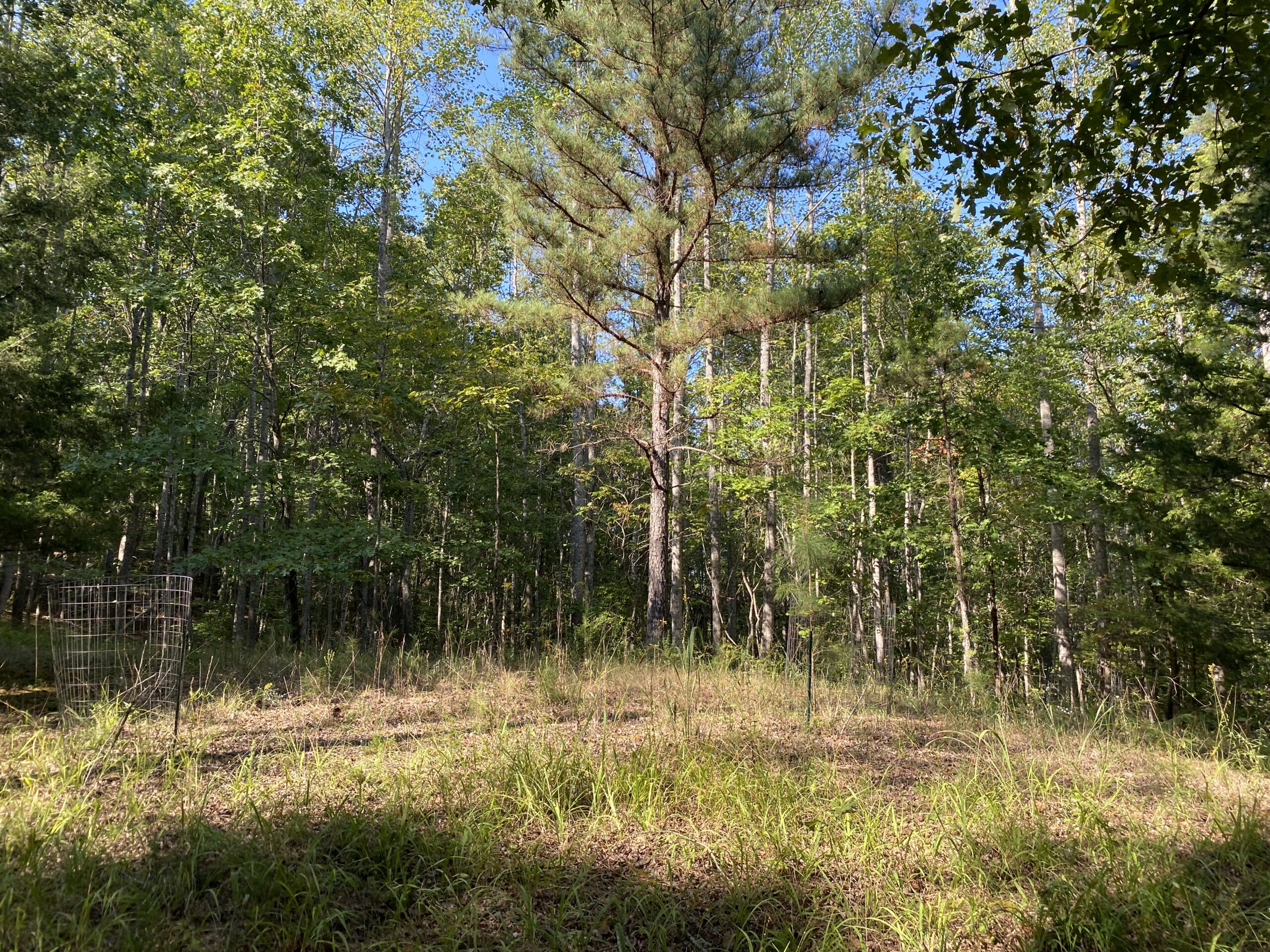 HUNTING CAMP FOR SALE IN TN. CABIN & STORAGE, 58 ACRES+/-
