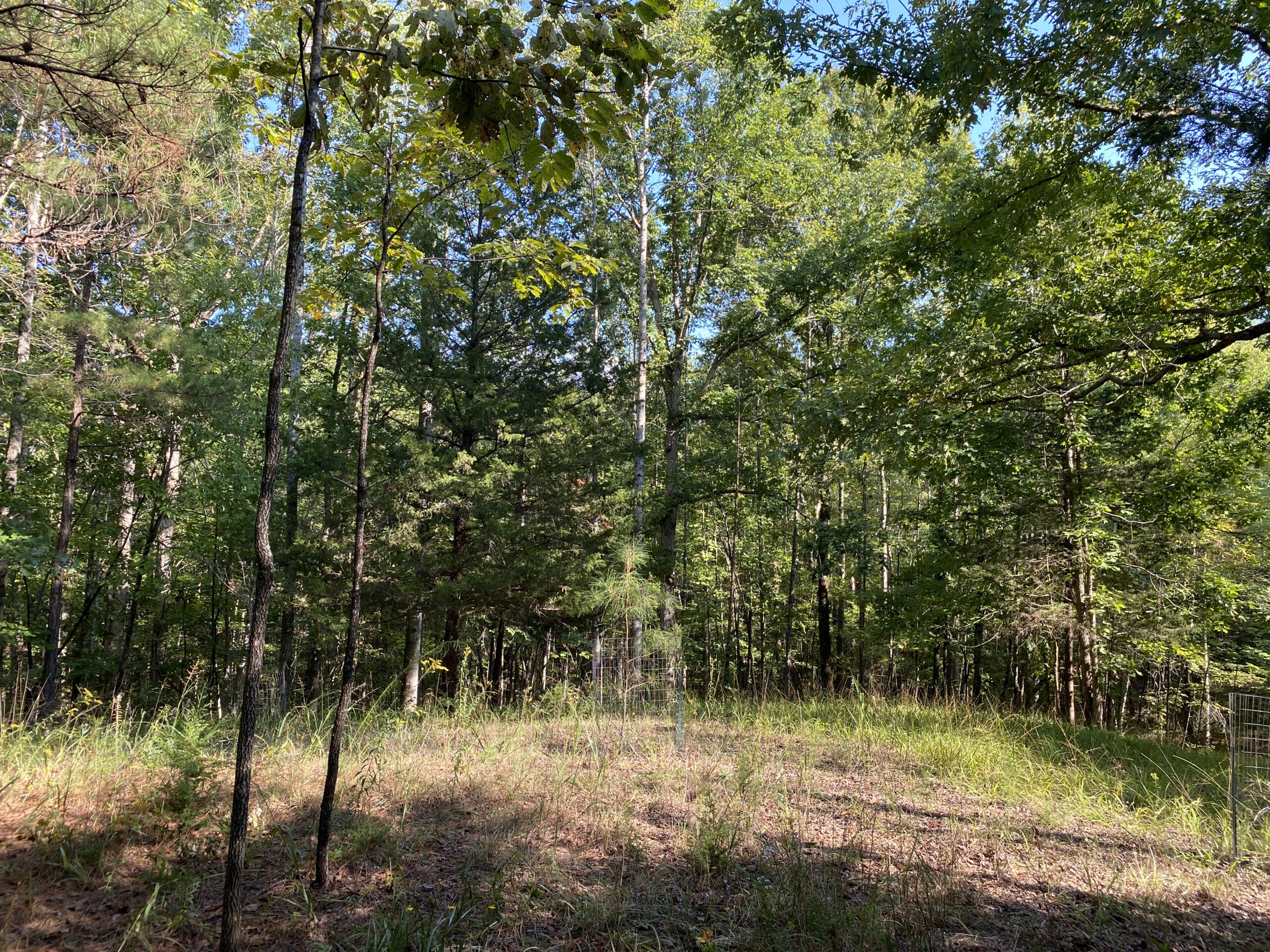 HUNTING CAMP FOR SALE IN TN. CABIN & STORAGE, 58 ACRES+/-