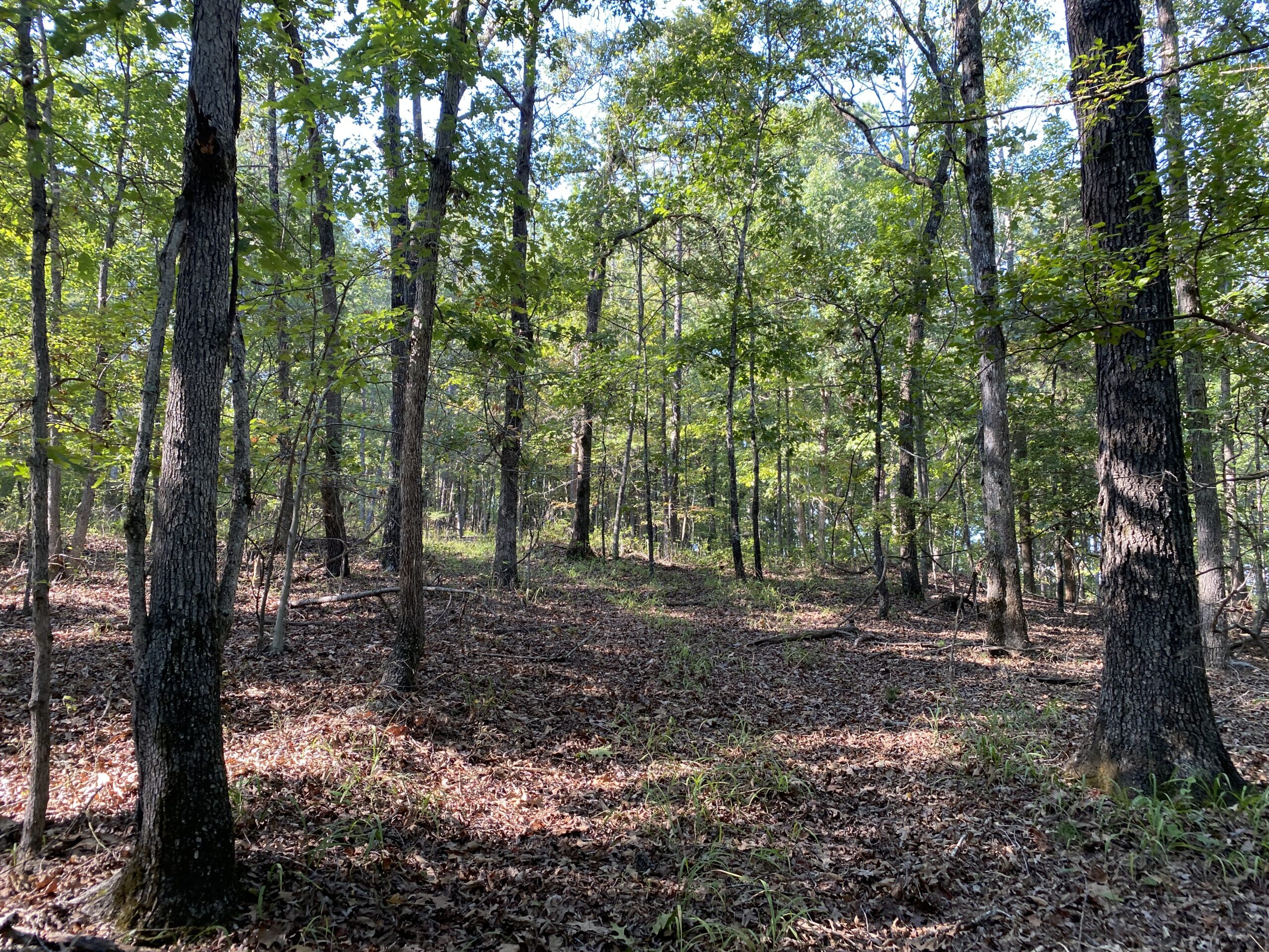 HUNTING CAMP FOR SALE IN TN. CABIN & STORAGE, 58 ACRES+/-