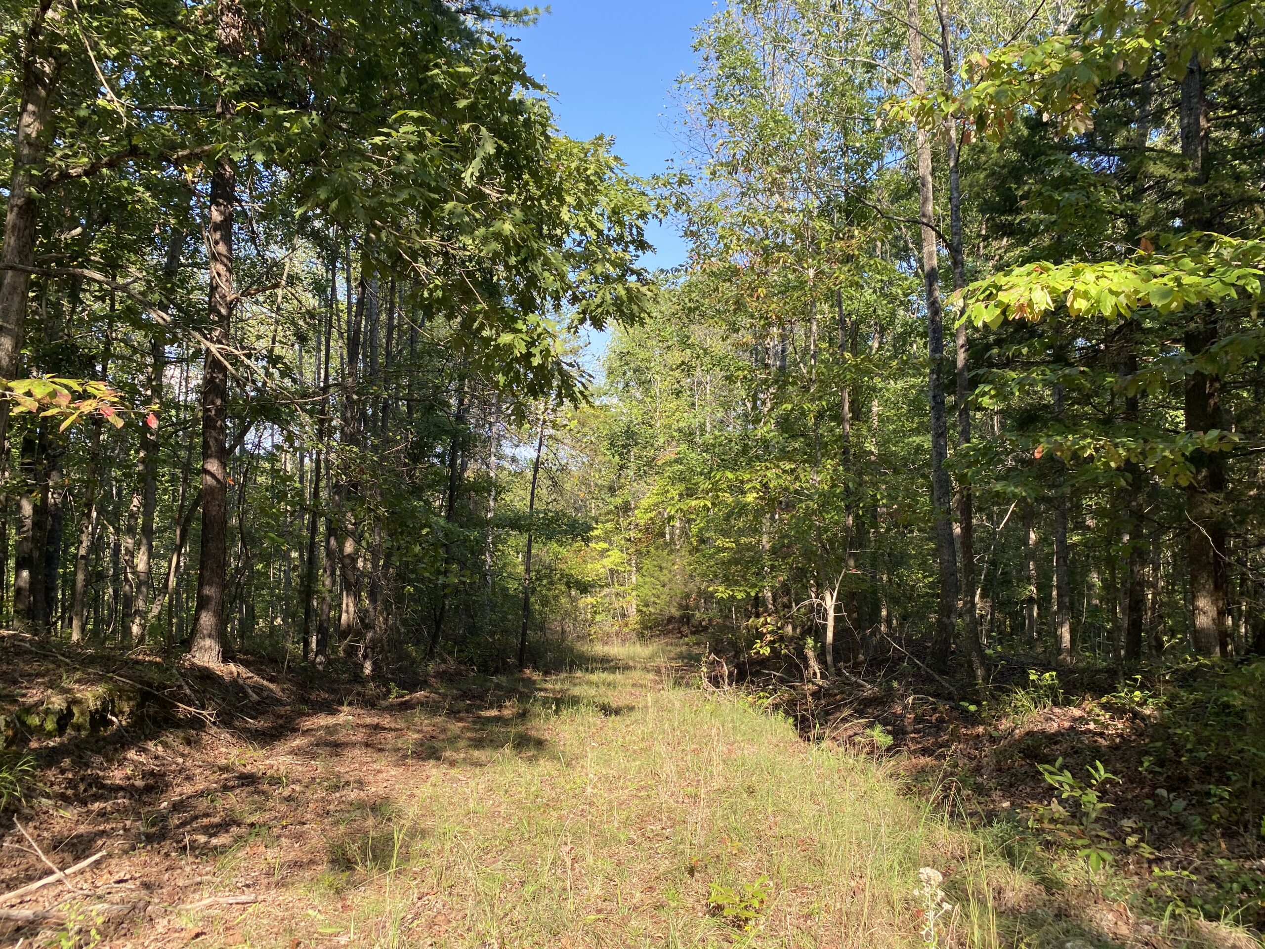 HUNTING CAMP FOR SALE IN TN. CABIN & STORAGE, 58 ACRES+/-