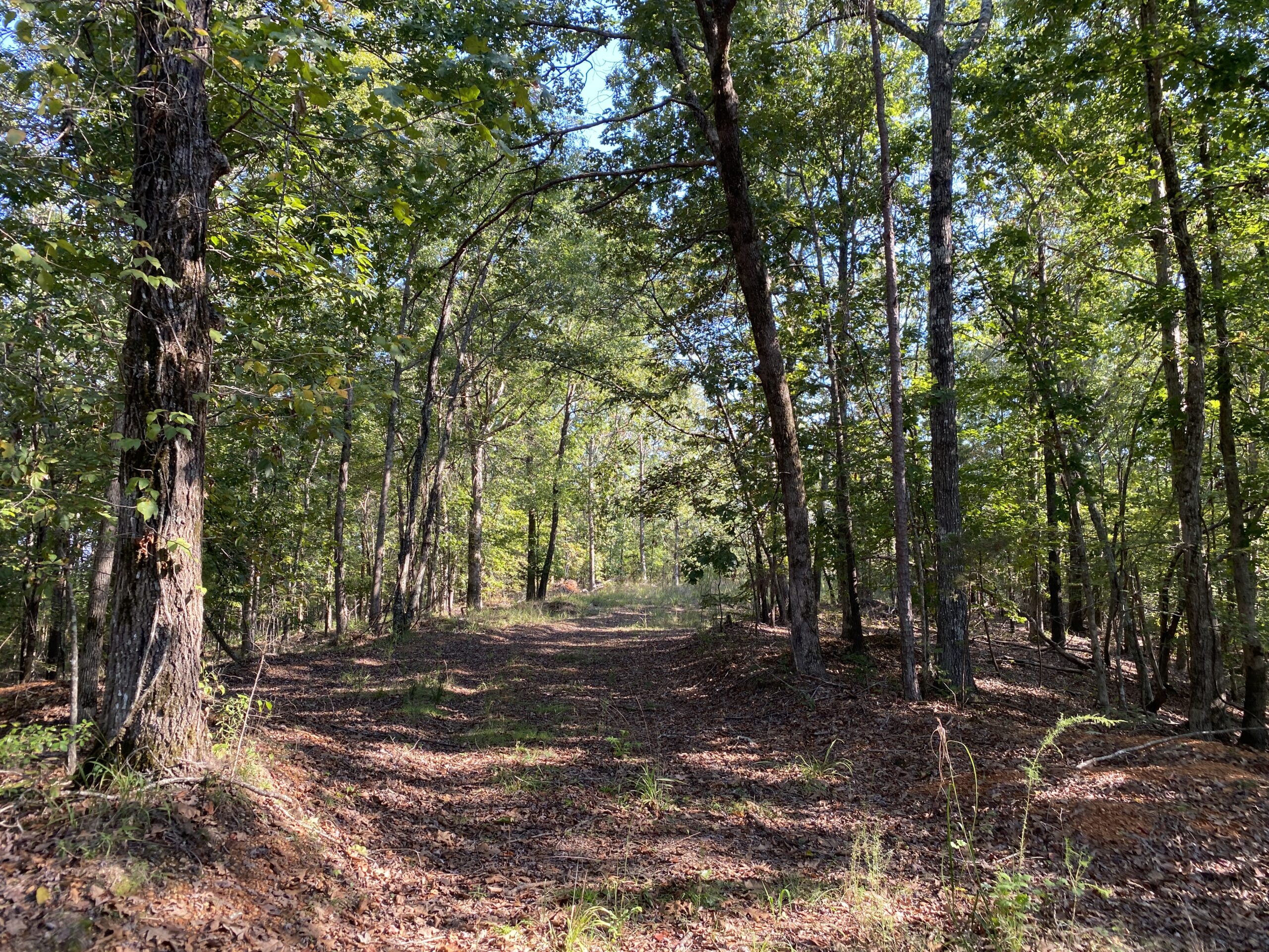 HUNTING CAMP FOR SALE IN TN. CABIN & STORAGE, 58 ACRES+/-