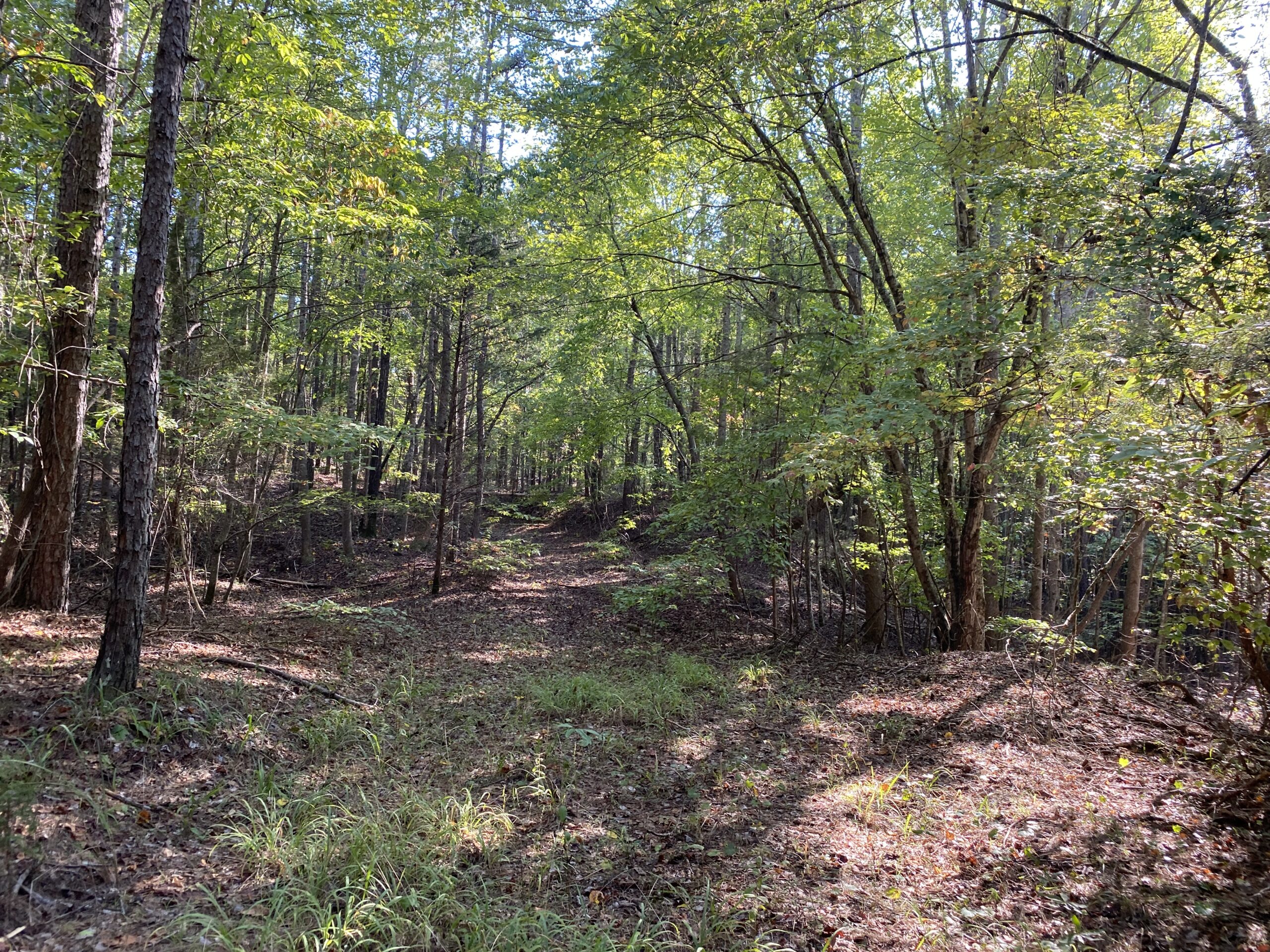 HUNTING CAMP FOR SALE IN TN. CABIN & STORAGE, 58 ACRES+/-