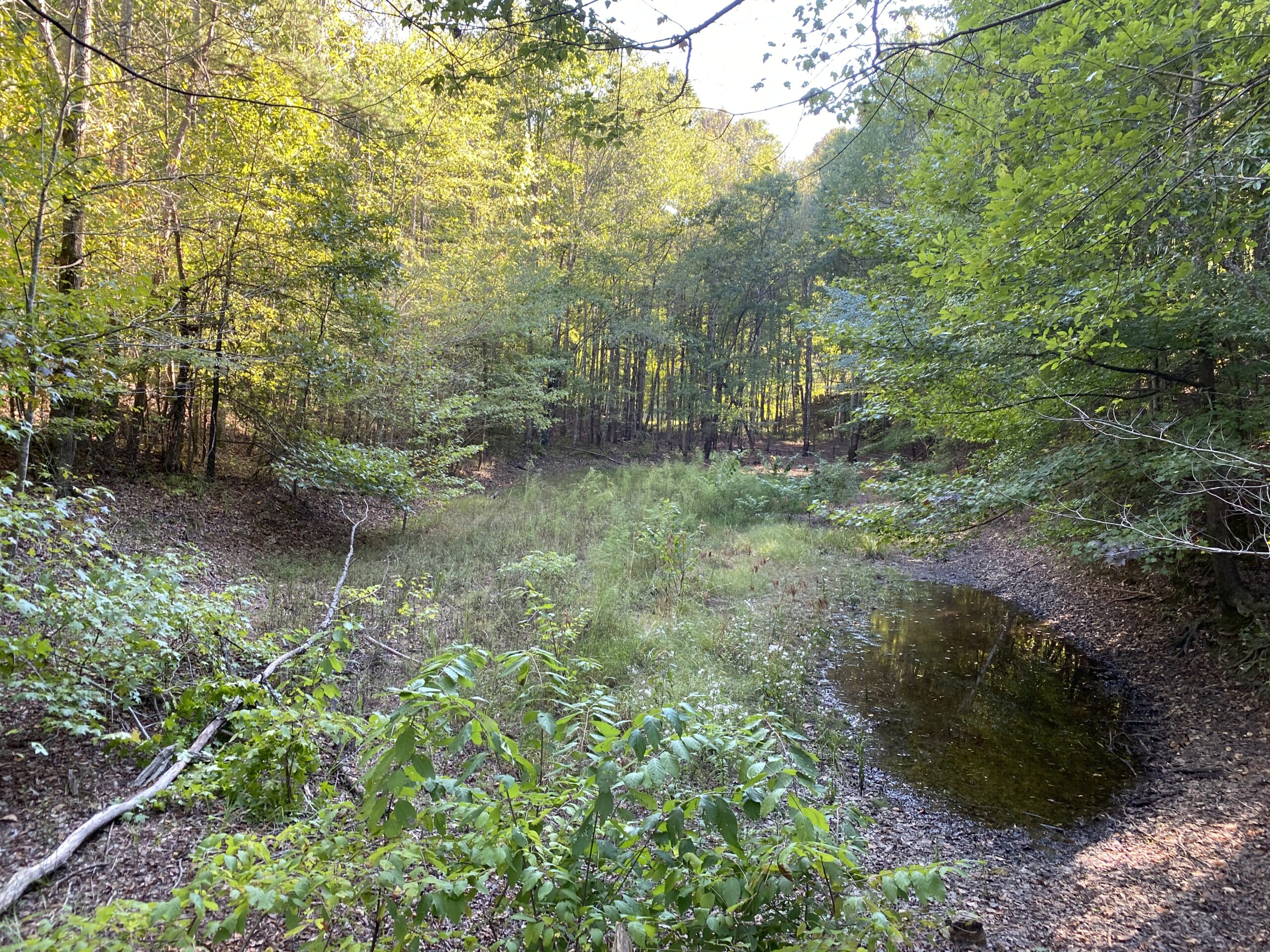HUNTING CAMP FOR SALE IN TN. CABIN & STORAGE, 58 ACRES+/-