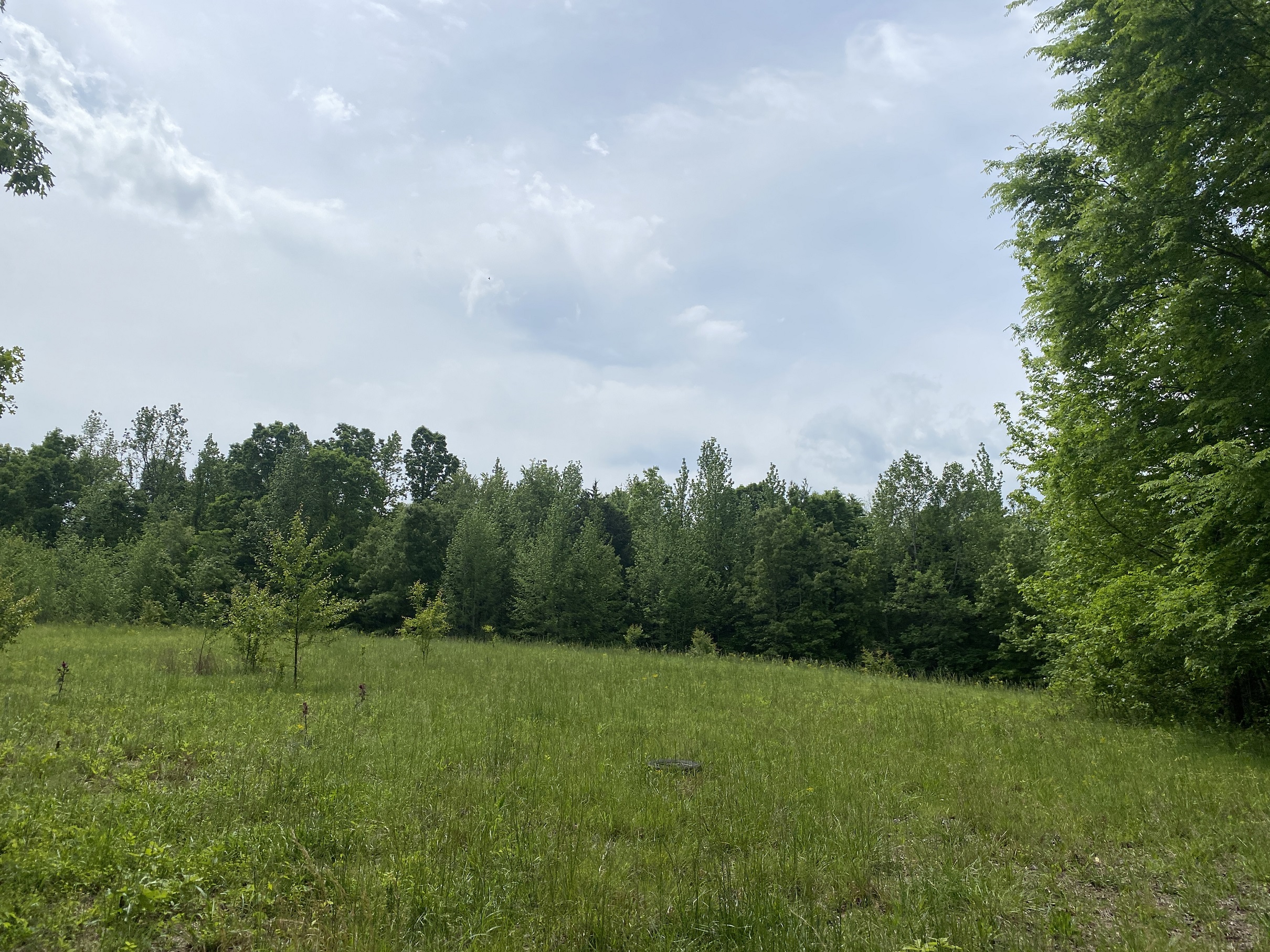 LAND FOR SALE IN TN, CREEKS, OPEN LAND, WOODED, CITY WATER
