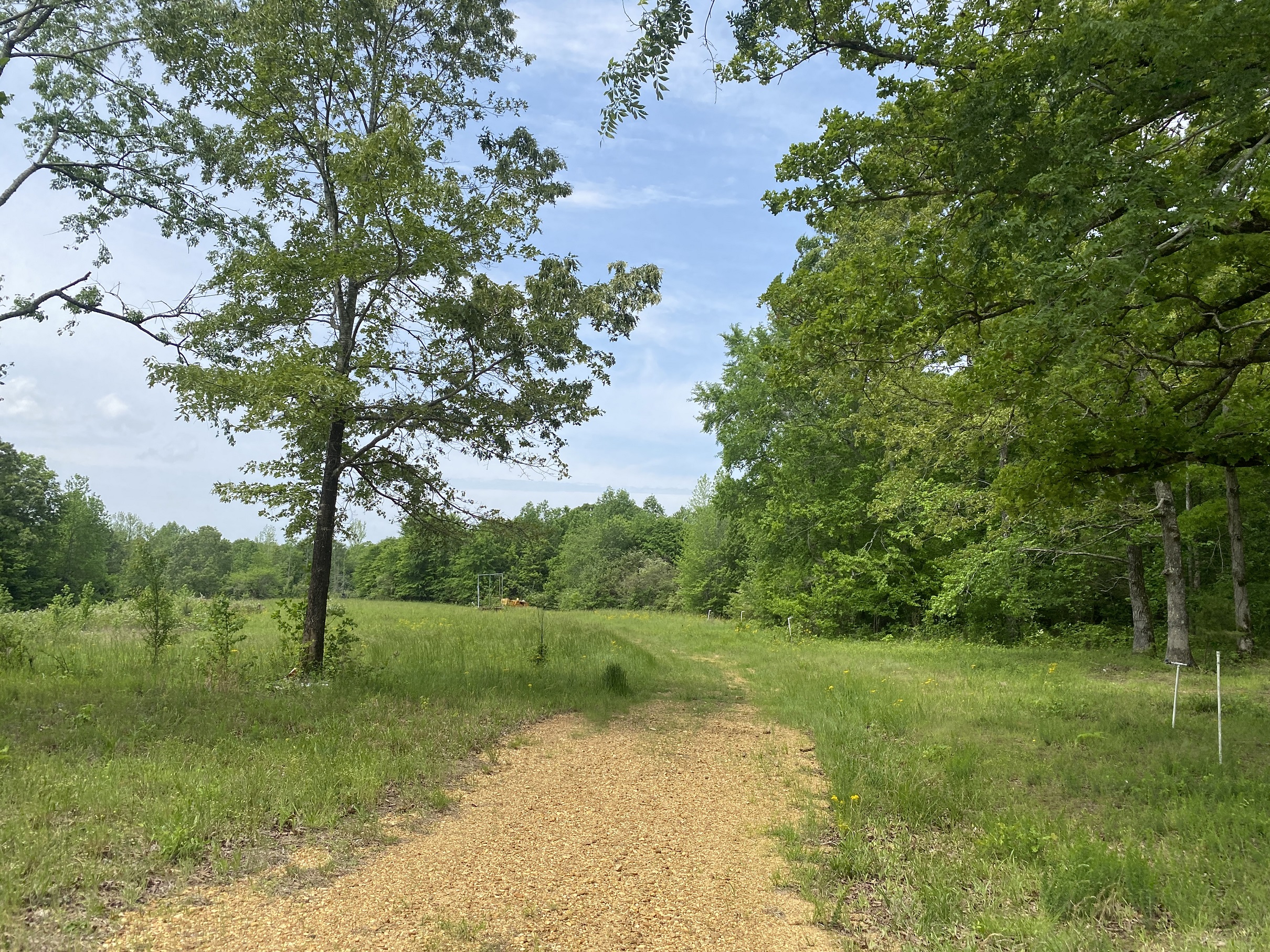 LAND FOR SALE IN TN, CREEKS, OPEN LAND, WOODED, CITY WATER