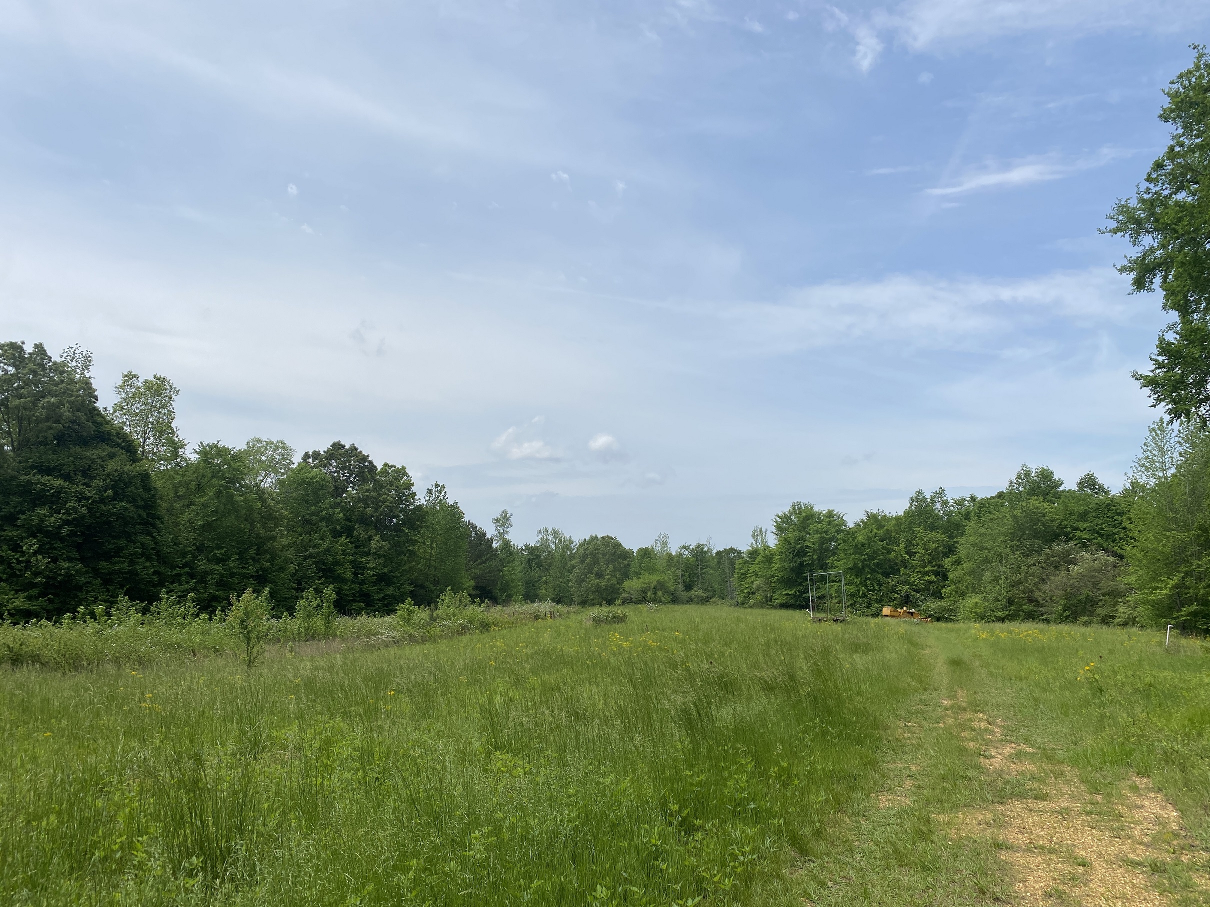 LAND FOR SALE IN TN, CREEKS, OPEN LAND, WOODED, CITY WATER