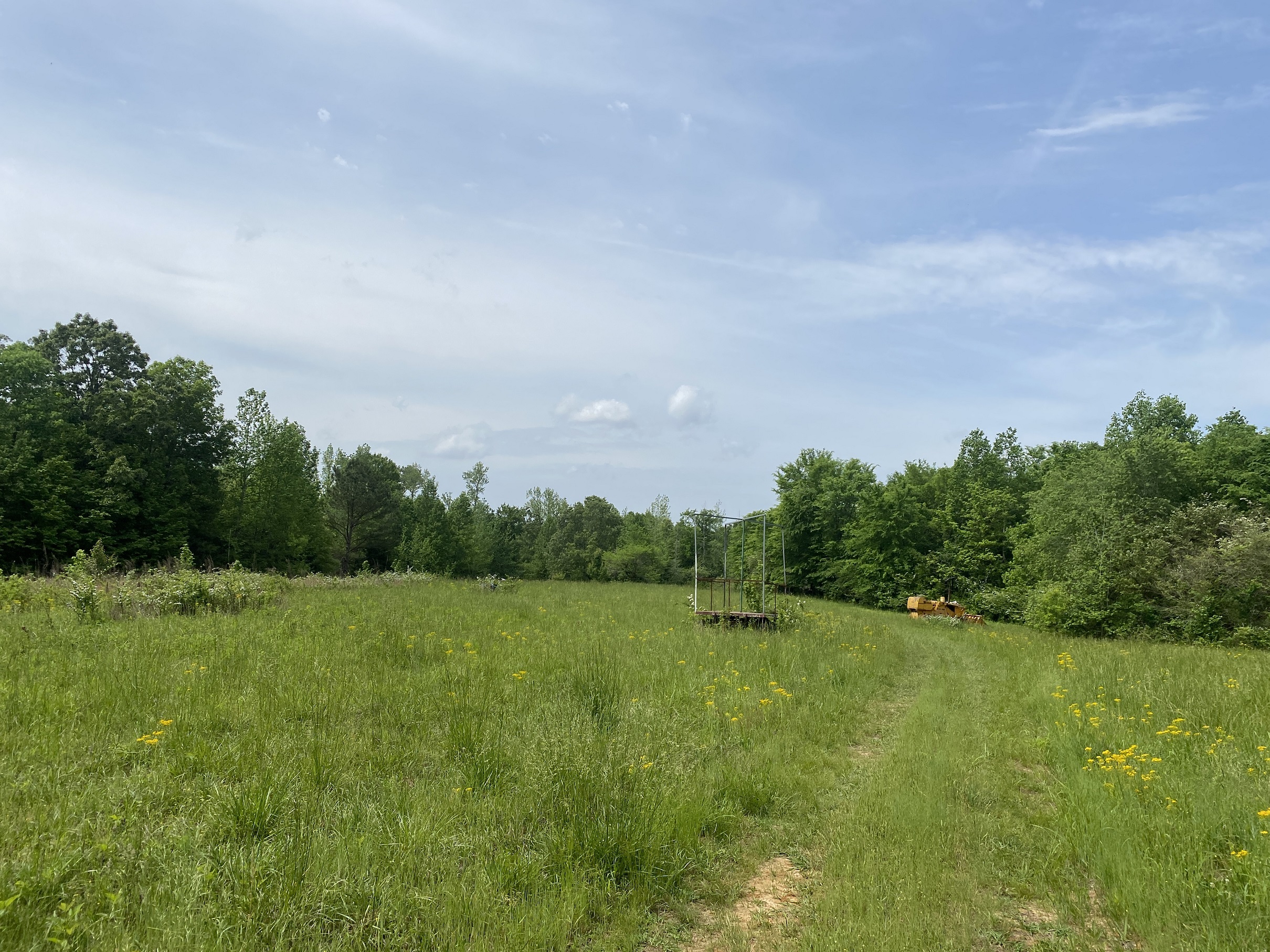 LAND FOR SALE IN TN, CREEKS, OPEN LAND, WOODED, CITY WATER