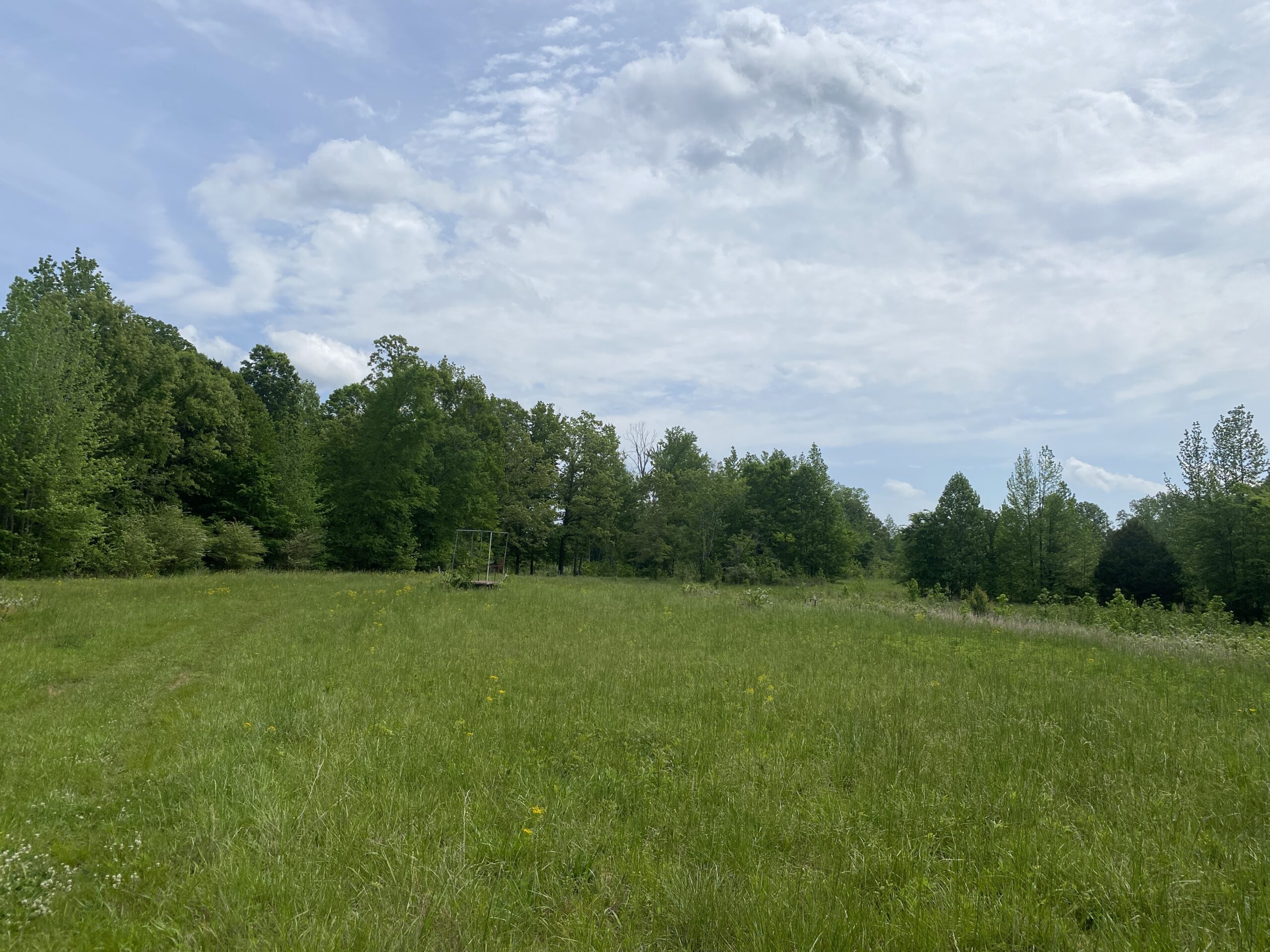 LAND FOR SALE IN TN, CREEKS, OPEN LAND, WOODED, CITY WATER