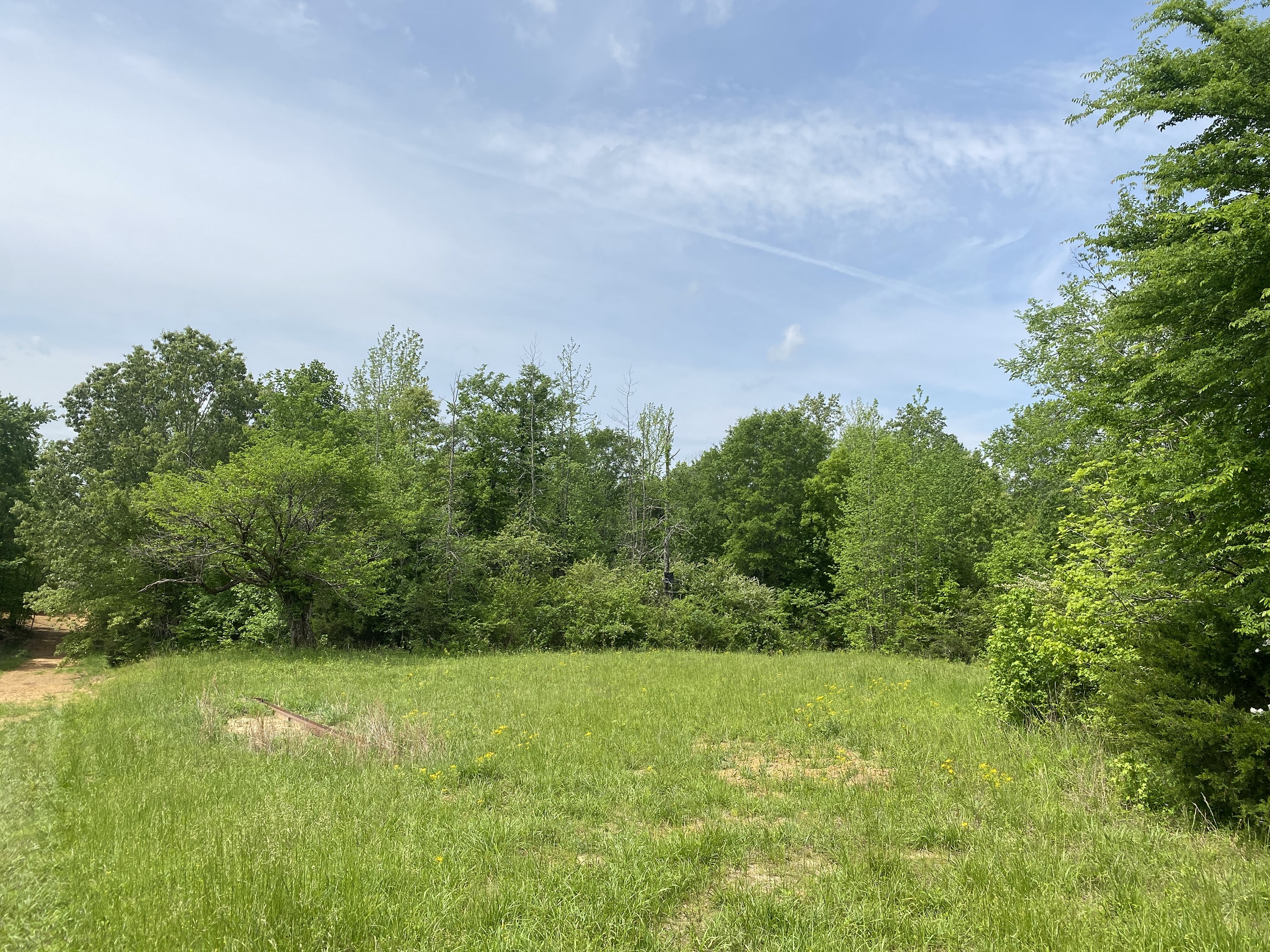 LAND FOR SALE IN TN, CREEKS, OPEN LAND, WOODED, CITY WATER