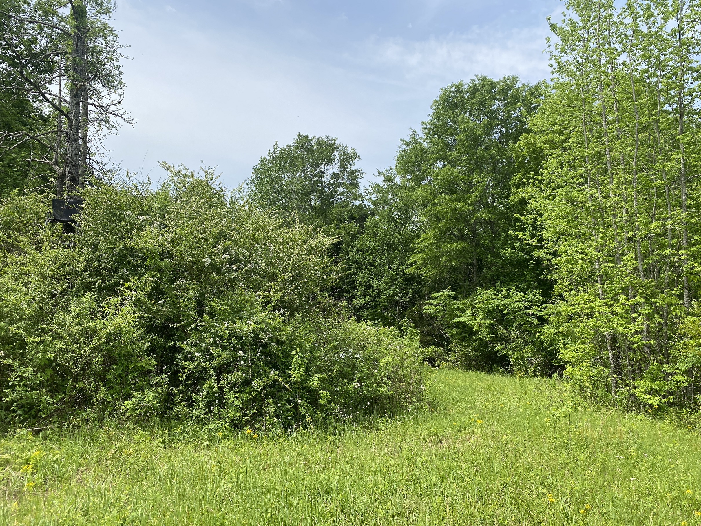 LAND FOR SALE IN TN, CREEKS, OPEN LAND, WOODED, CITY WATER