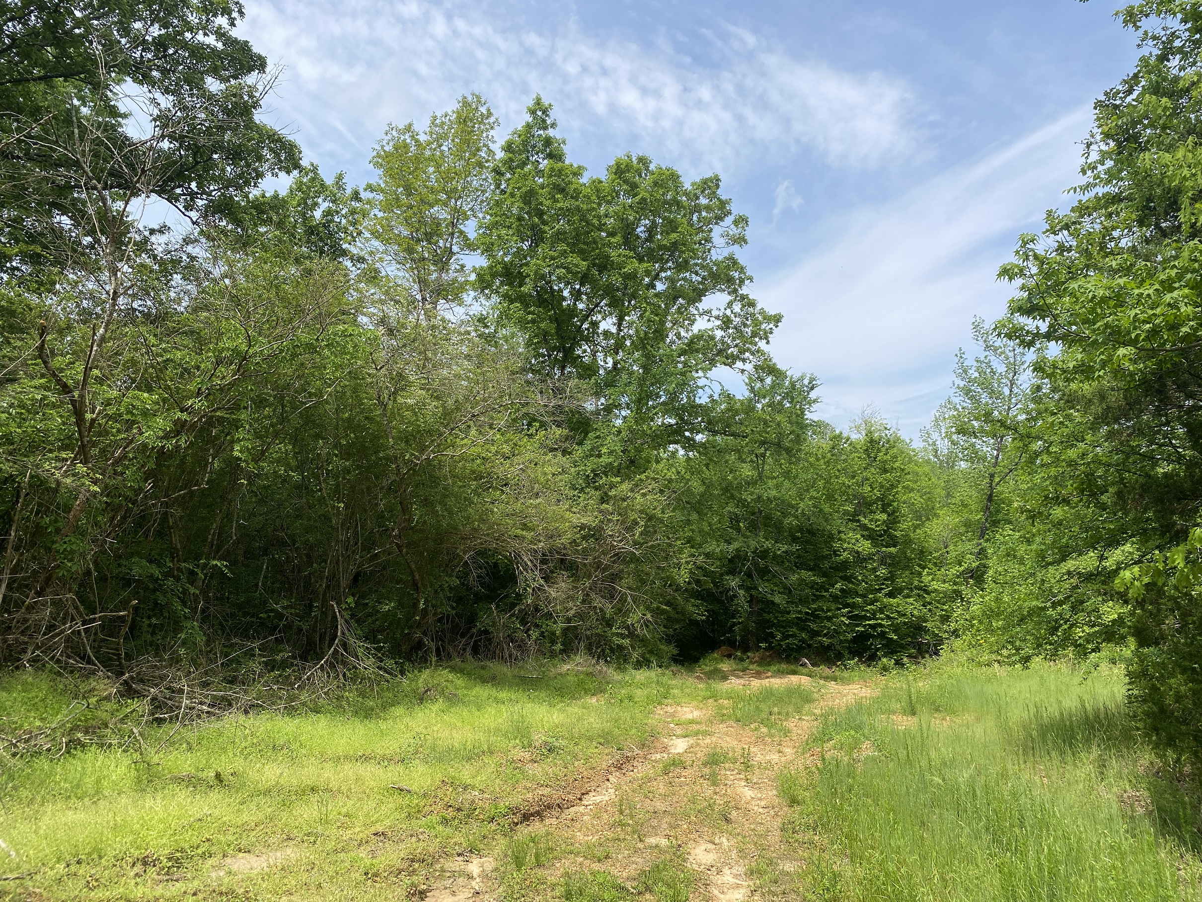LAND FOR SALE IN TN, CREEKS, OPEN LAND, WOODED, CITY WATER