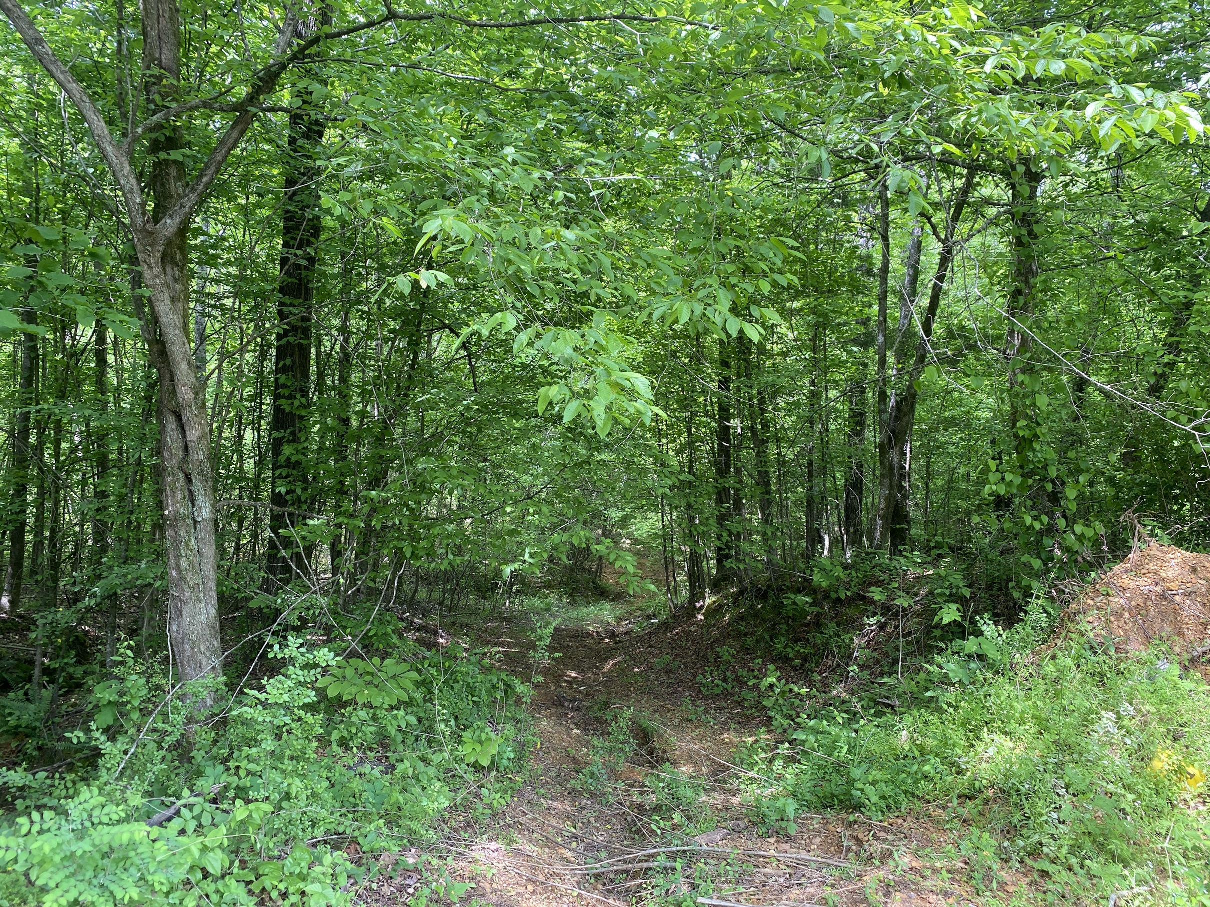 LAND FOR SALE IN TN, CREEKS, OPEN LAND, WOODED, CITY WATER