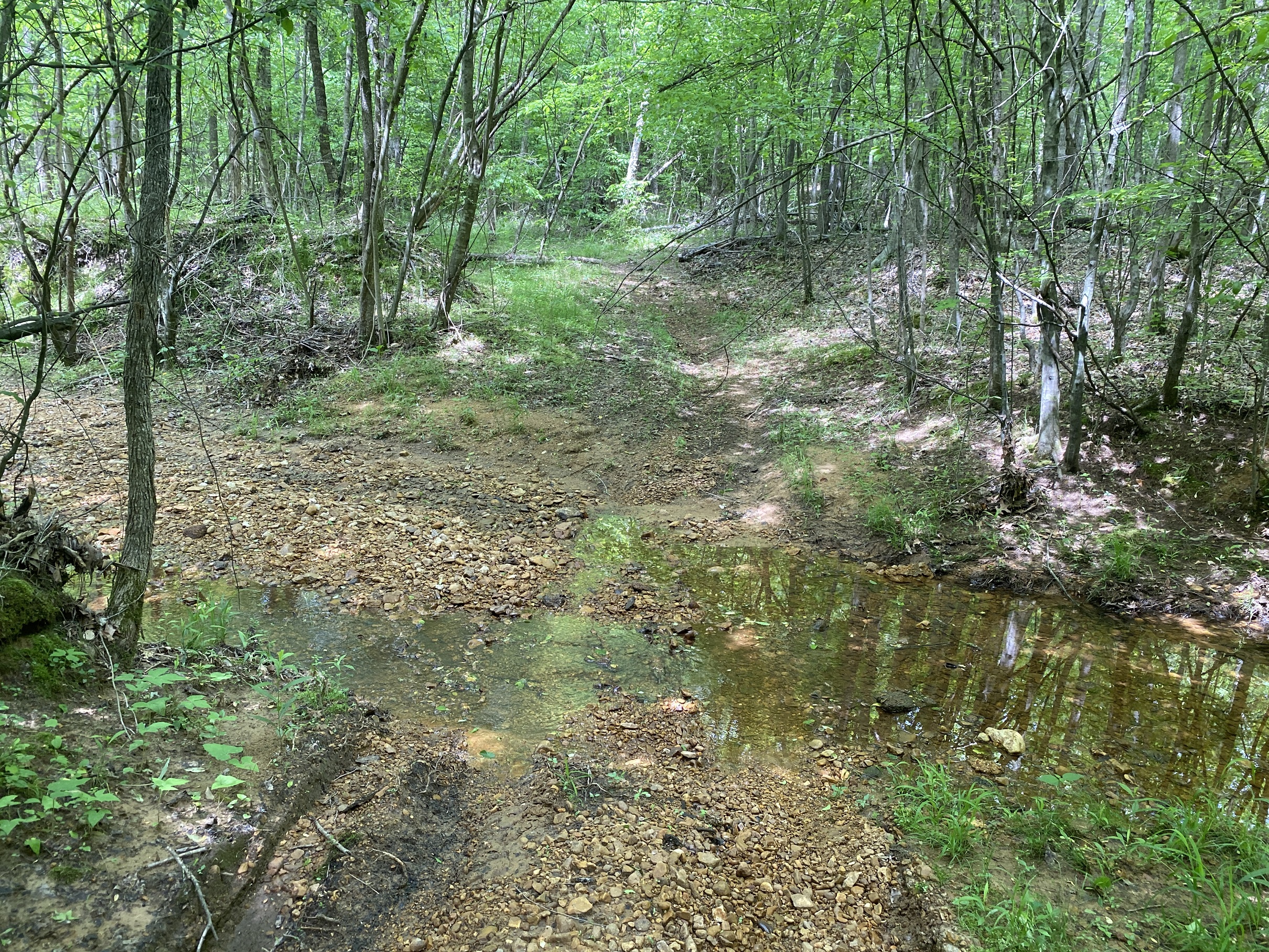 LAND FOR SALE IN TN, CREEKS, OPEN LAND, WOODED, CITY WATER