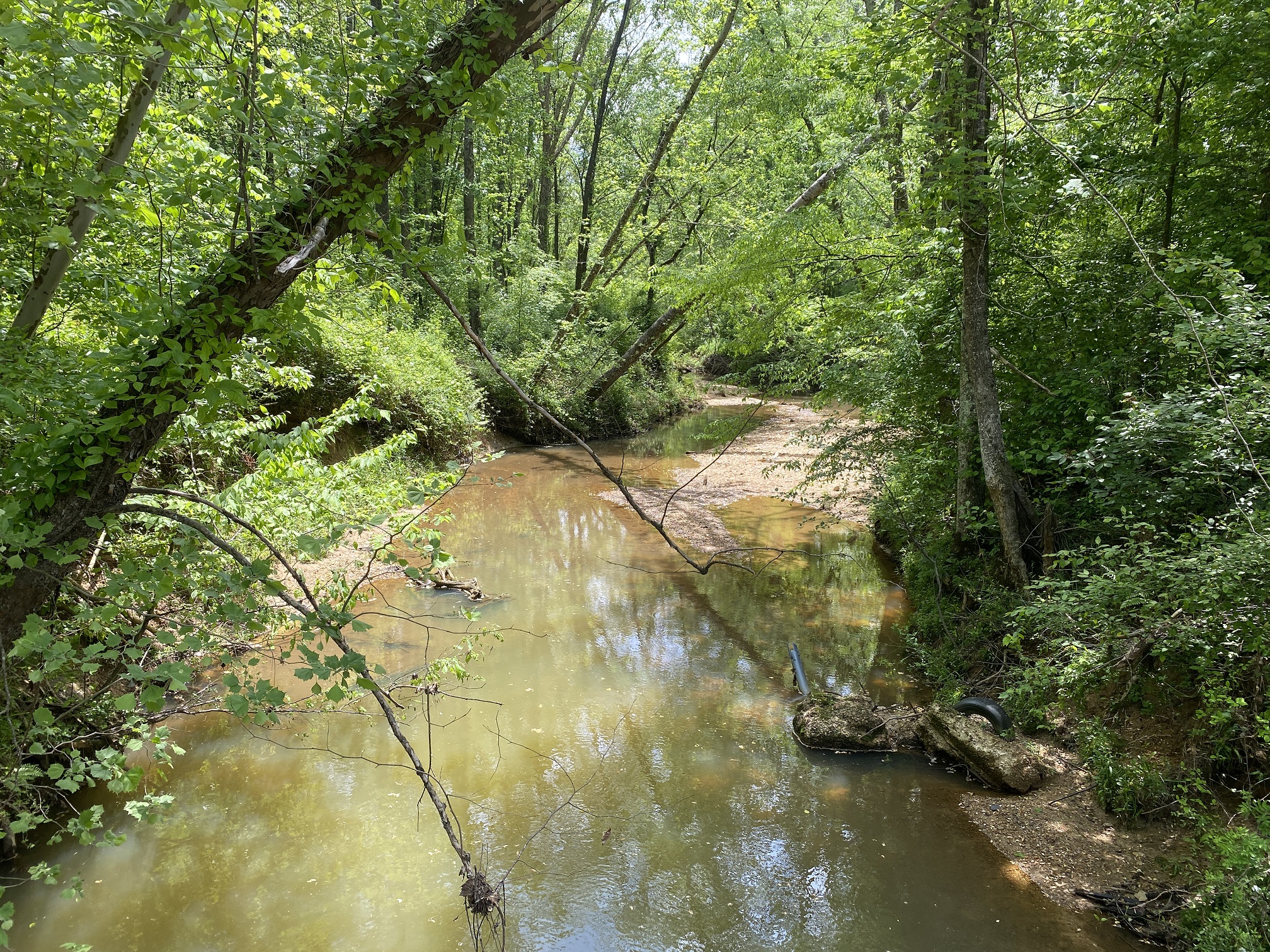 LAND FOR SALE IN TN, CREEKS, OPEN LAND, WOODED, CITY WATER