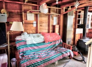 Cabin on 4 Lots in Canada Creek Ranch Atlanta MI