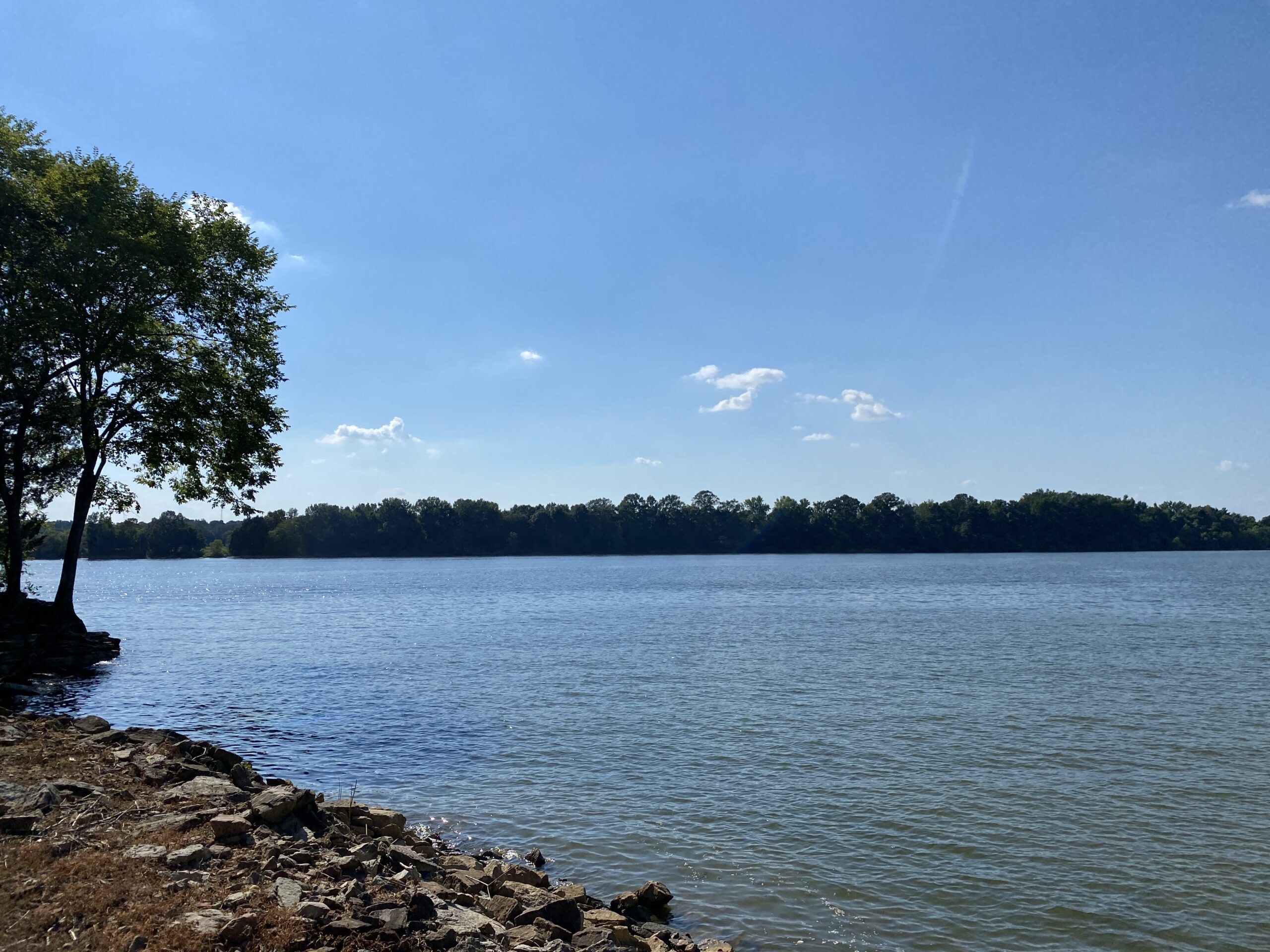 RIVER FRONT HOME W/ UNRESTRICTED ACREAGE FOR SALE IN TN ON TENNESSEE RIVER, DEER & TURKEY HUNTING