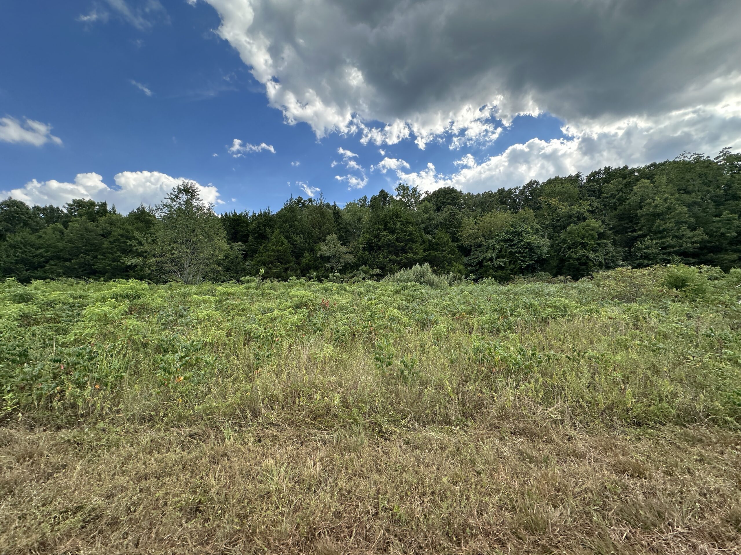 Hunting Property for Sale in Edgar Springs, MO