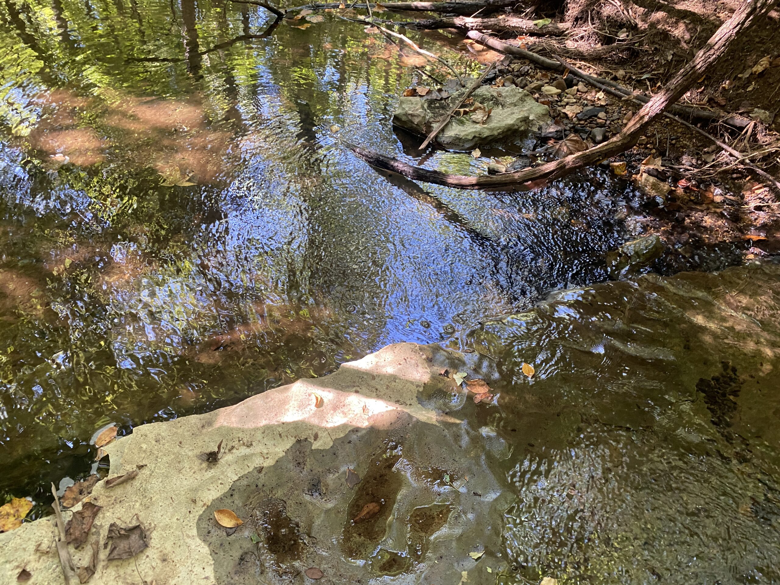 LAND FOR SALE IN TN ON PONY CREEK WITH MATURE HARDWOODS