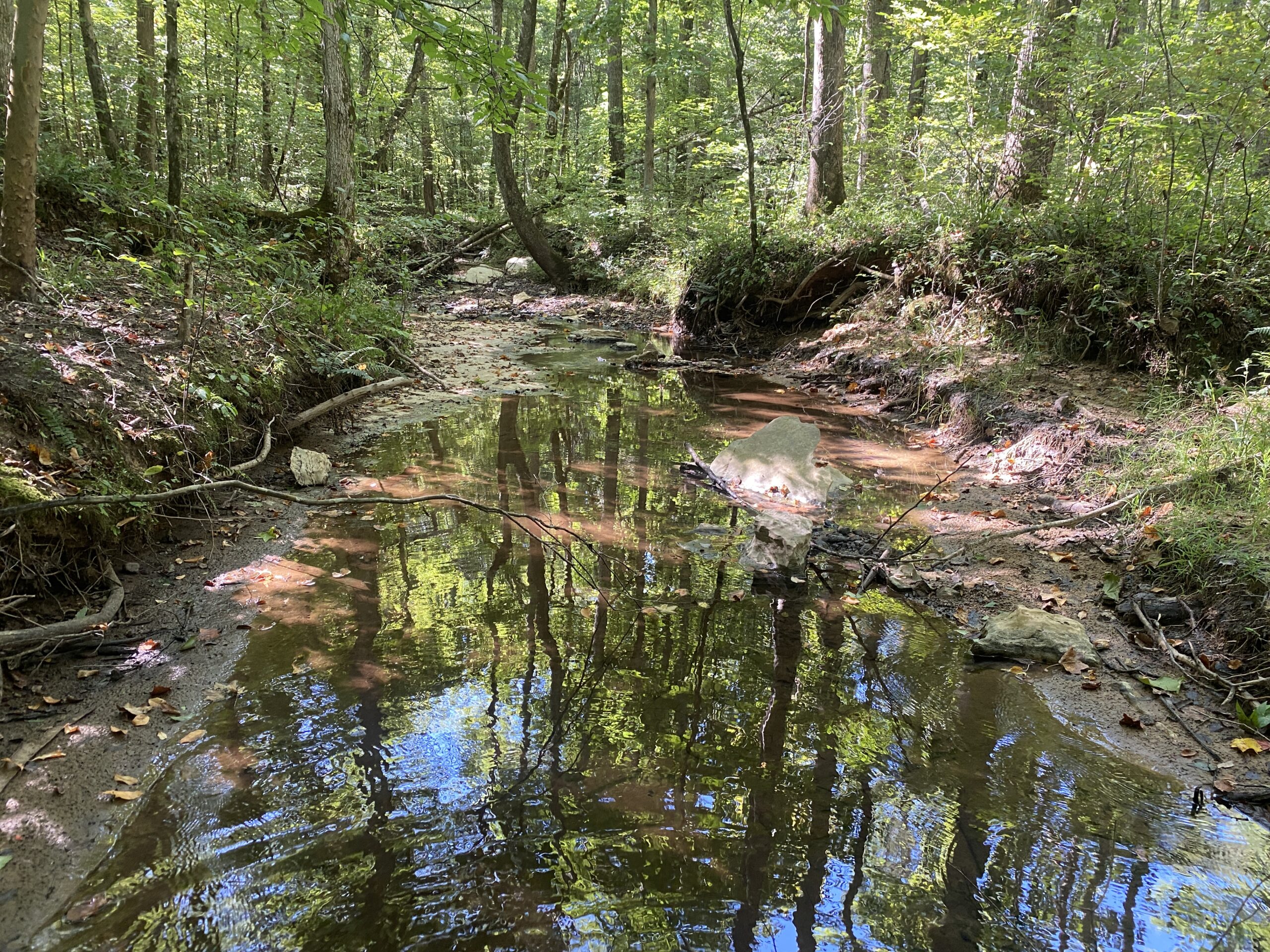 LAND FOR SALE IN TN ON PONY CREEK WITH MATURE HARDWOODS