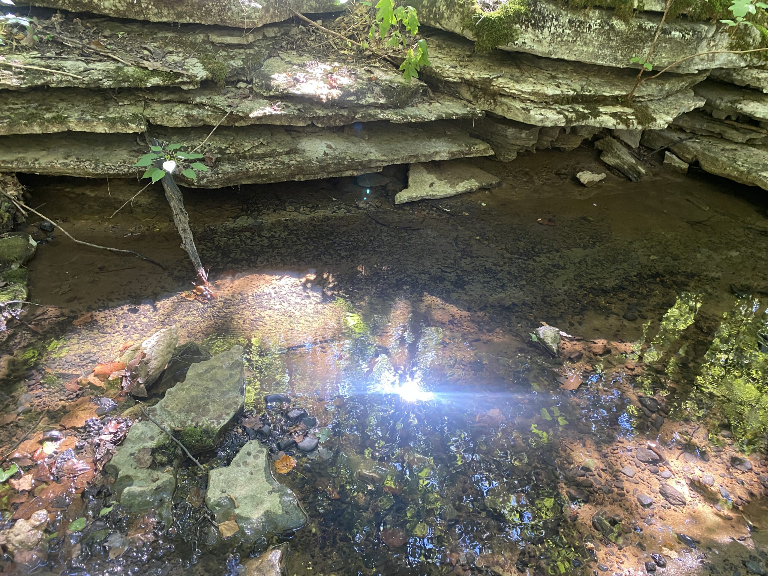 LAND FOR SALE IN TN ON PONY CREEK WITH MATURE HARDWOODS