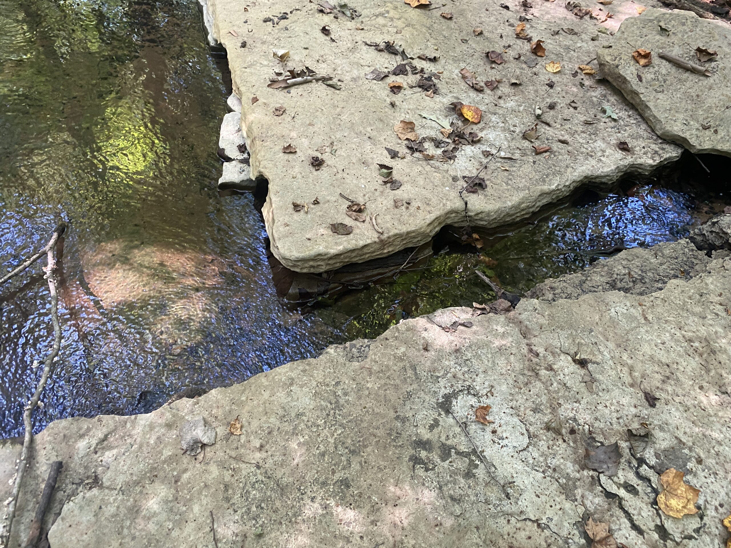 LAND FOR SALE IN TN ON PONY CREEK WITH MATURE HARDWOODS