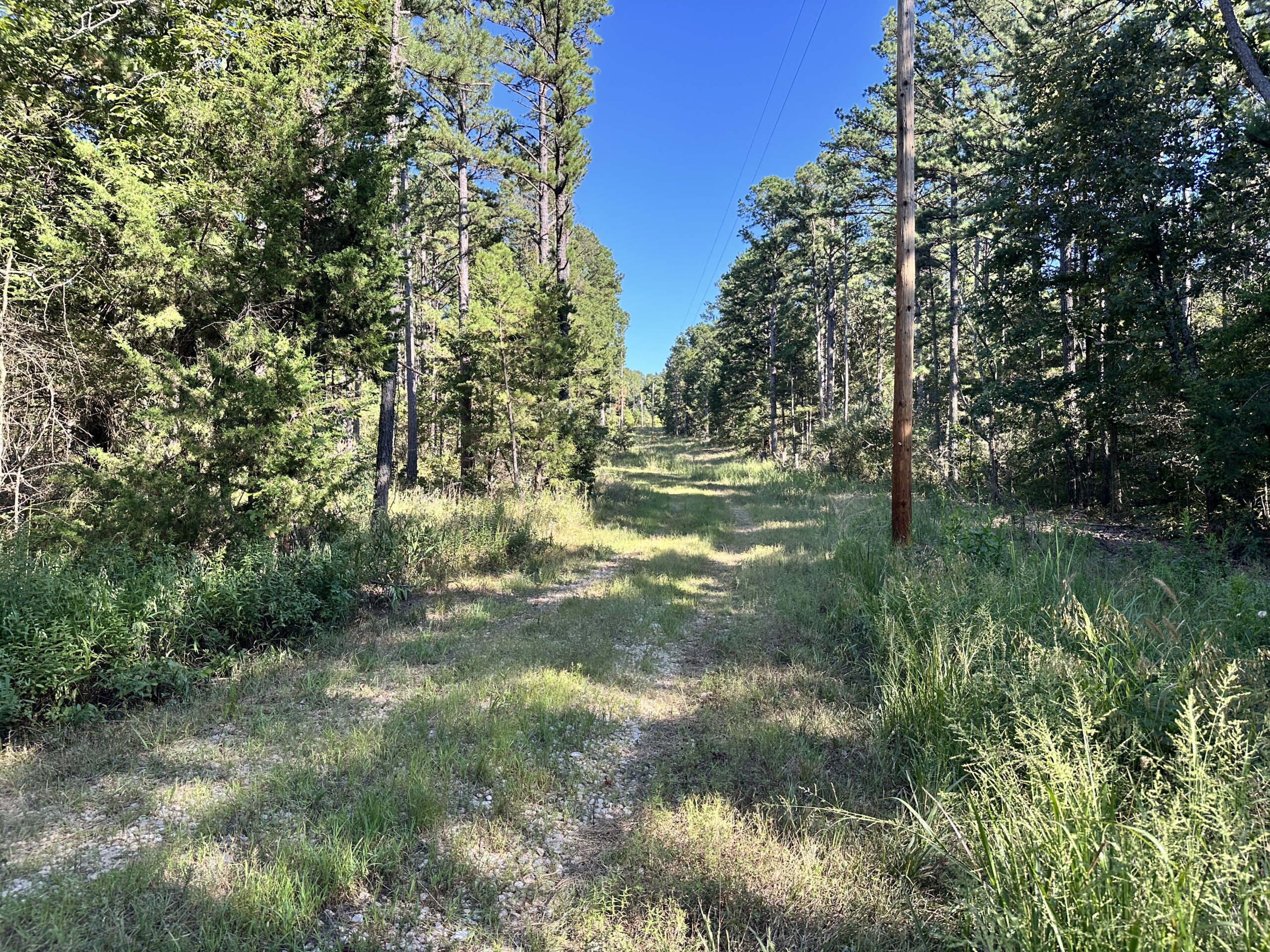 Hunting Property for Sale in Edgar Springs, MO