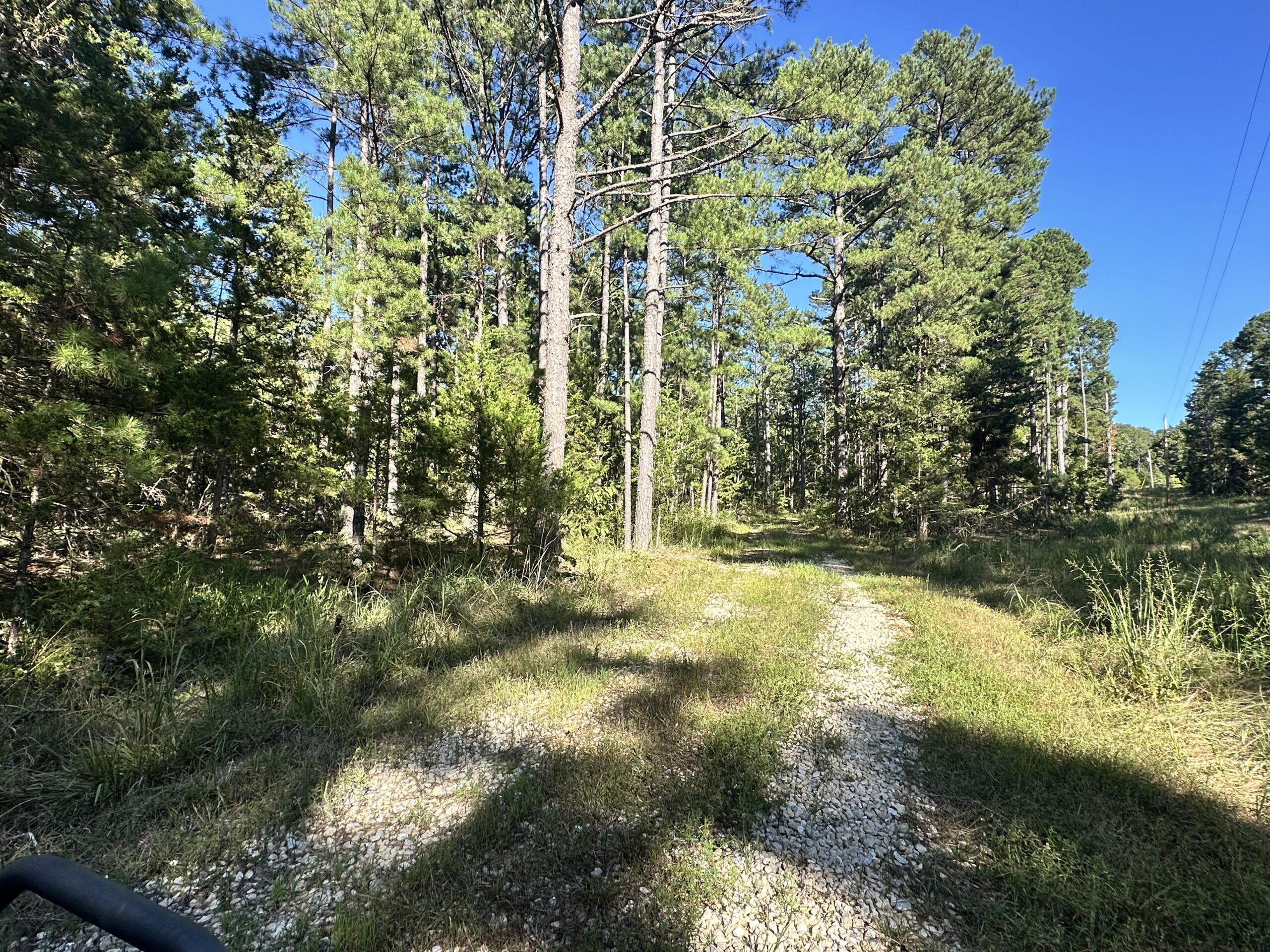 Hunting Property for Sale in Edgar Springs, MO