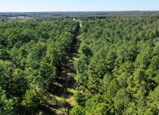 Hunting Property for Sale in Edgar Springs, MO