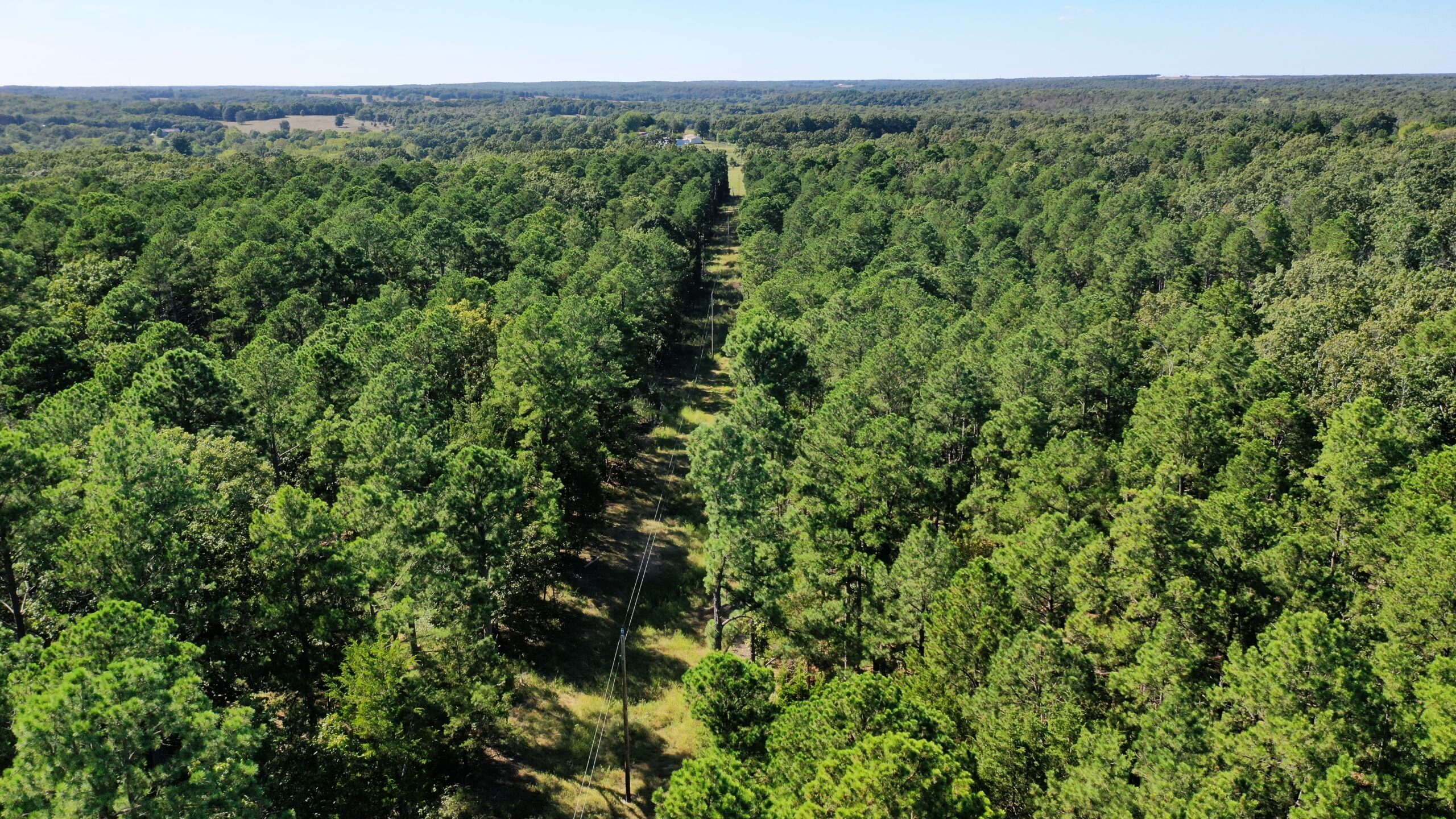 Hunting Property for Sale in Edgar Springs, MO