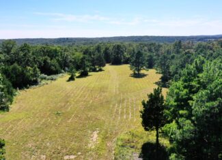 Hunting Property for Sale in Edgar Springs, MO