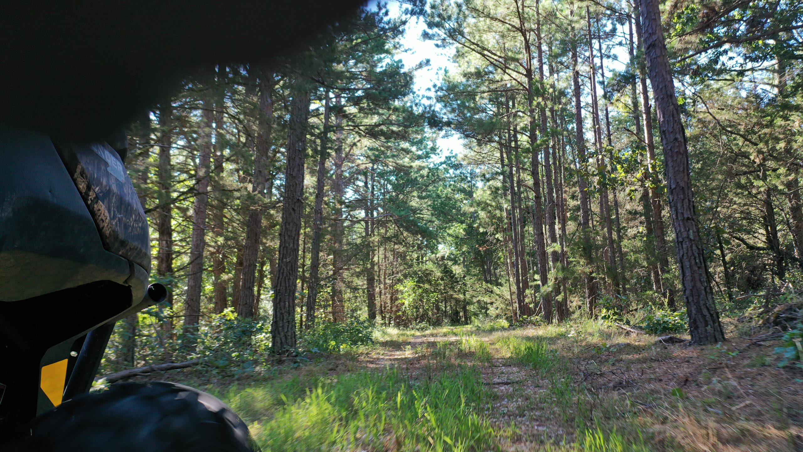 Hunting Property for Sale in Edgar Springs, MO