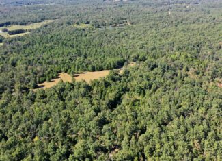 Hunting Property for Sale in Edgar Springs, MO