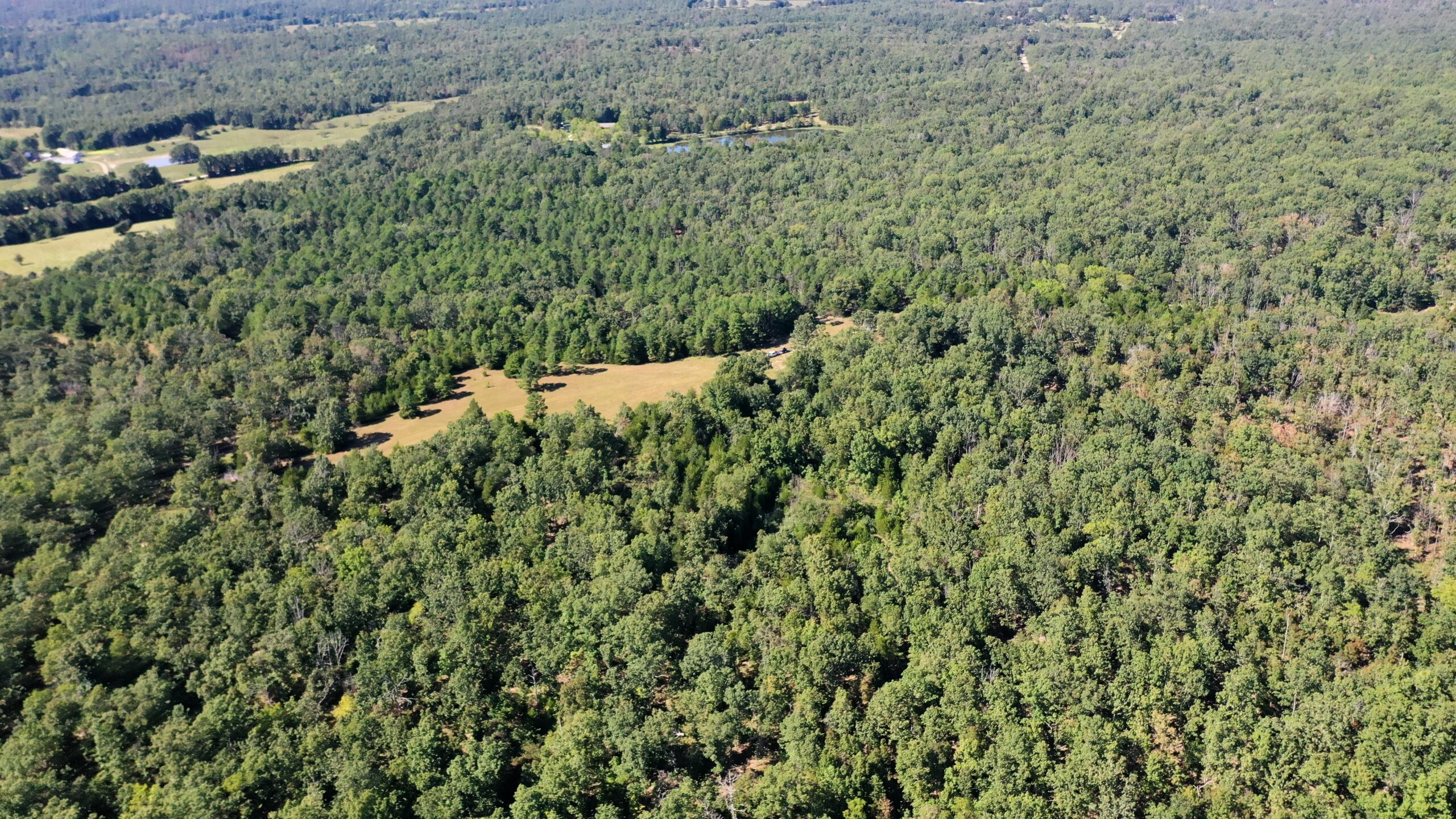 Hunting Property for Sale in Edgar Springs, MO