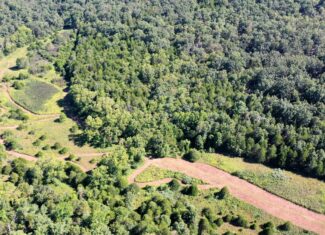 Hunting Property for Sale in Edgar Springs, MO