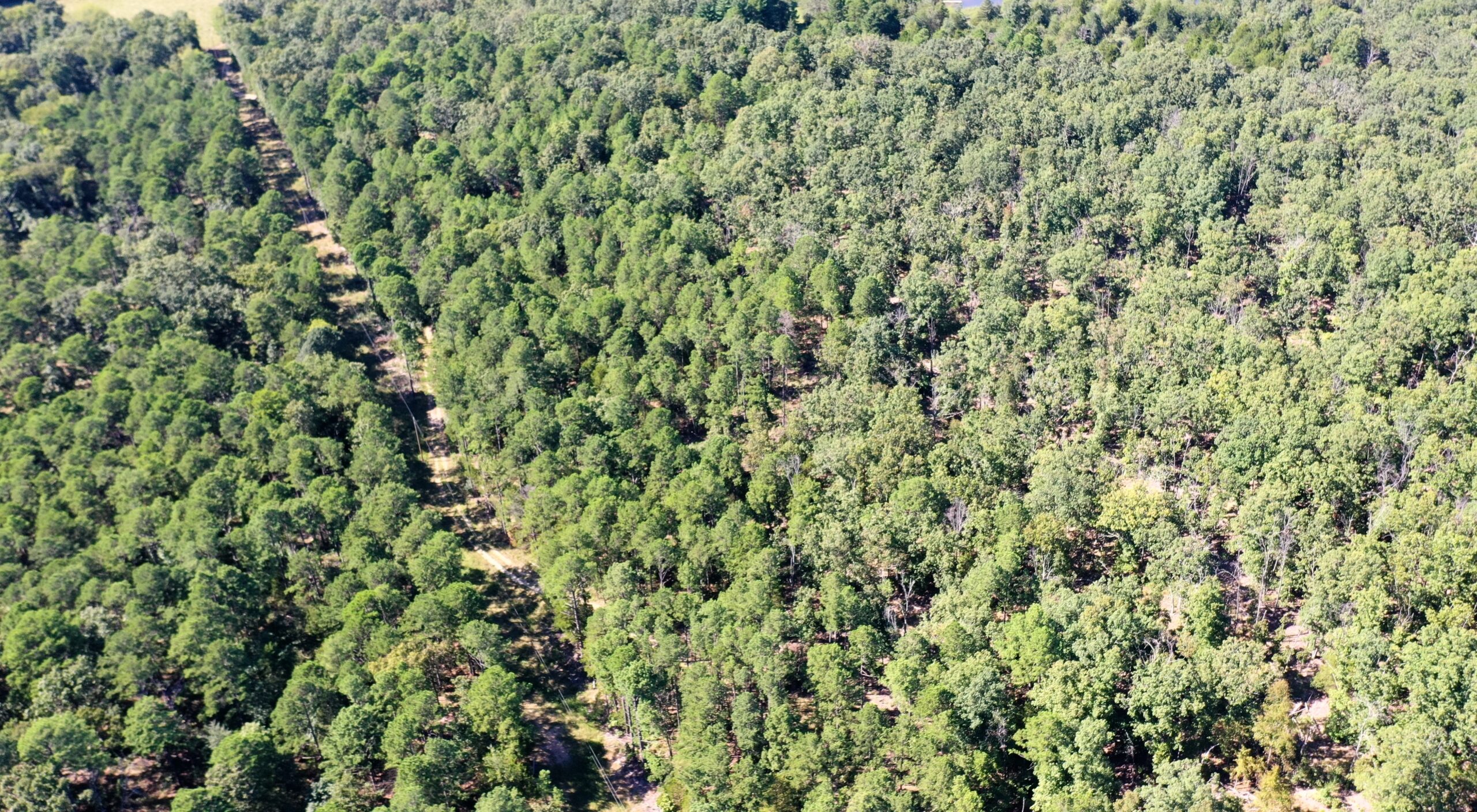 Hunting Property for Sale in Edgar Springs, MO