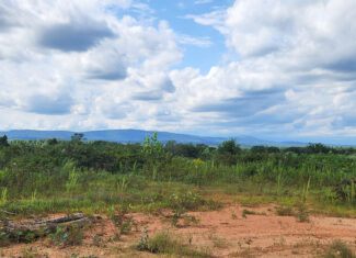 Transform Your Vision: Massive Acreage Ready for Hunting or Development