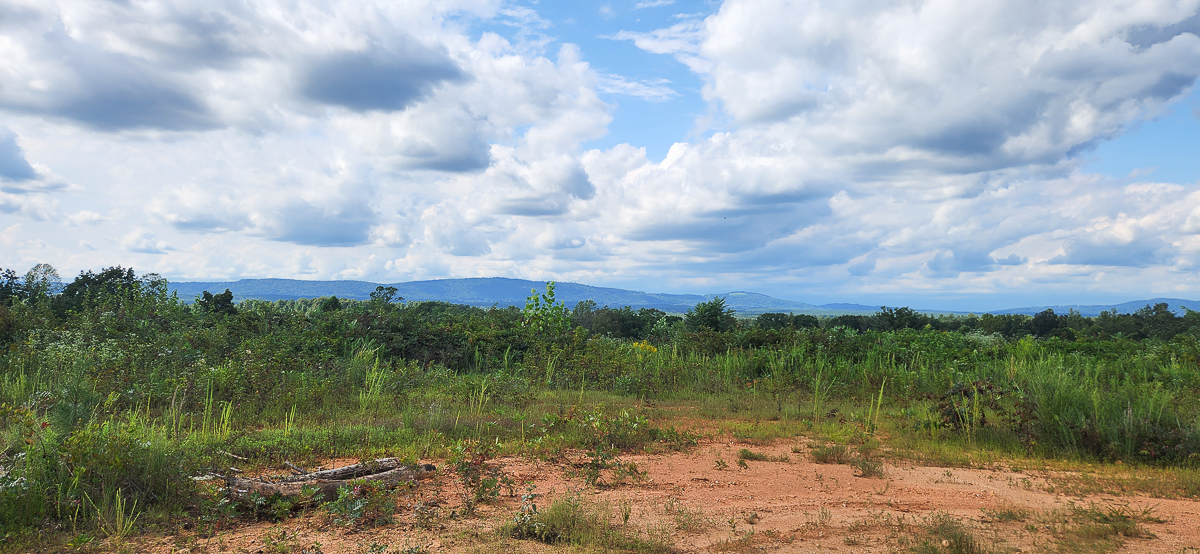 Transform Your Vision: Massive Acreage Ready for Hunting or Development