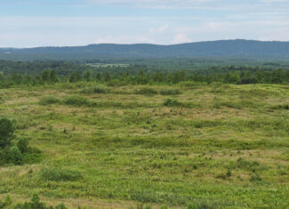 Transform Your Vision: Massive Acreage Ready for Hunting or Development