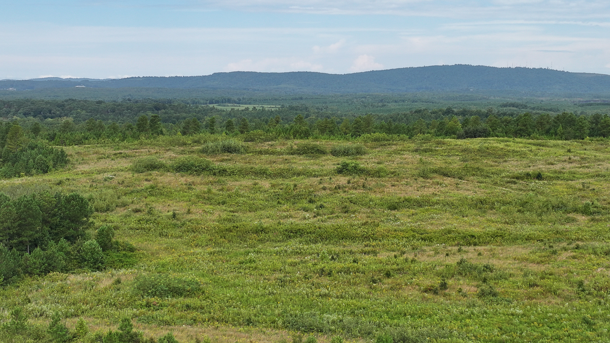 Transform Your Vision: Massive Acreage Ready for Hunting or Development