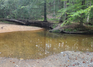 Transform Your Vision: Massive Acreage Ready for Hunting or Development