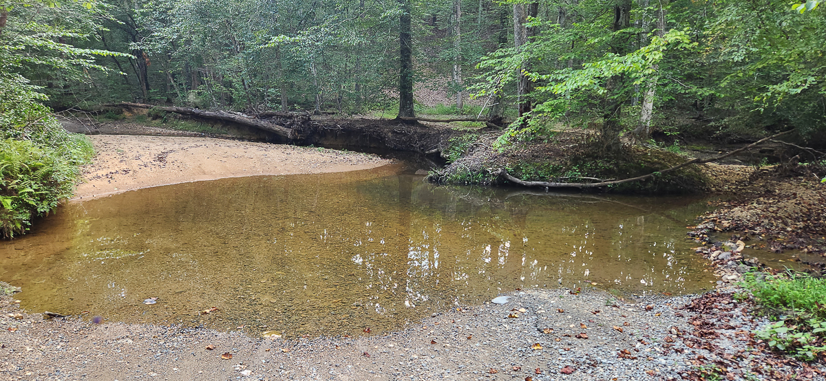 Transform Your Vision: Massive Acreage Ready for Hunting or Development