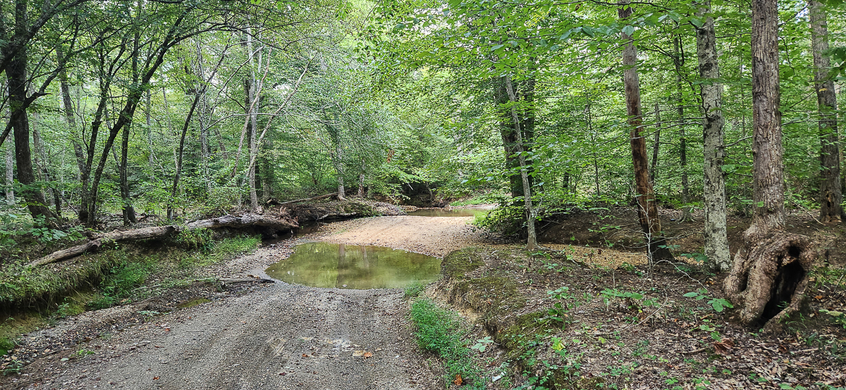 Transform Your Vision: Massive Acreage Ready for Hunting or Development